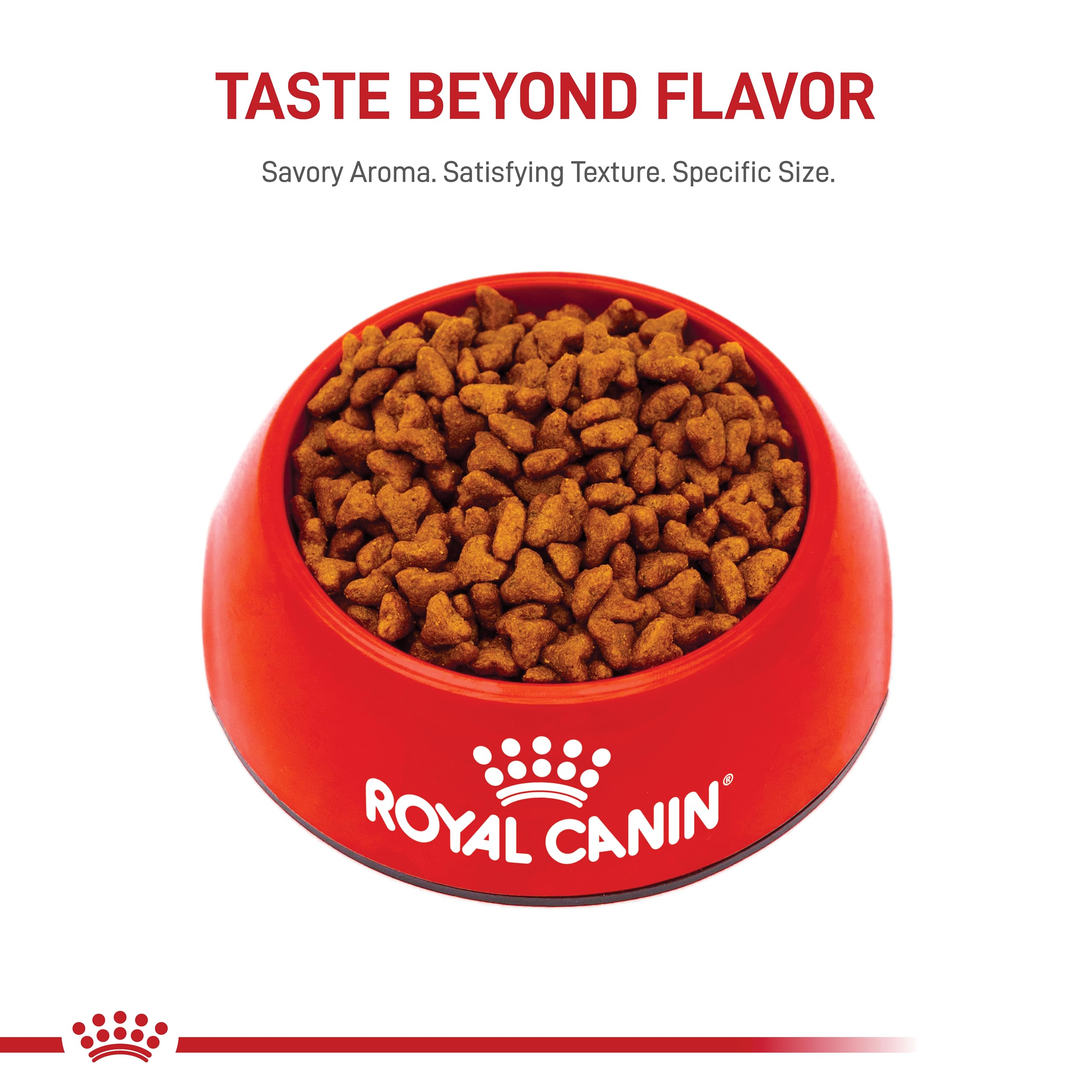 Royal Canin Breed Health Nutrition Pug Puppy Dry Dog Food, 2.5 lb