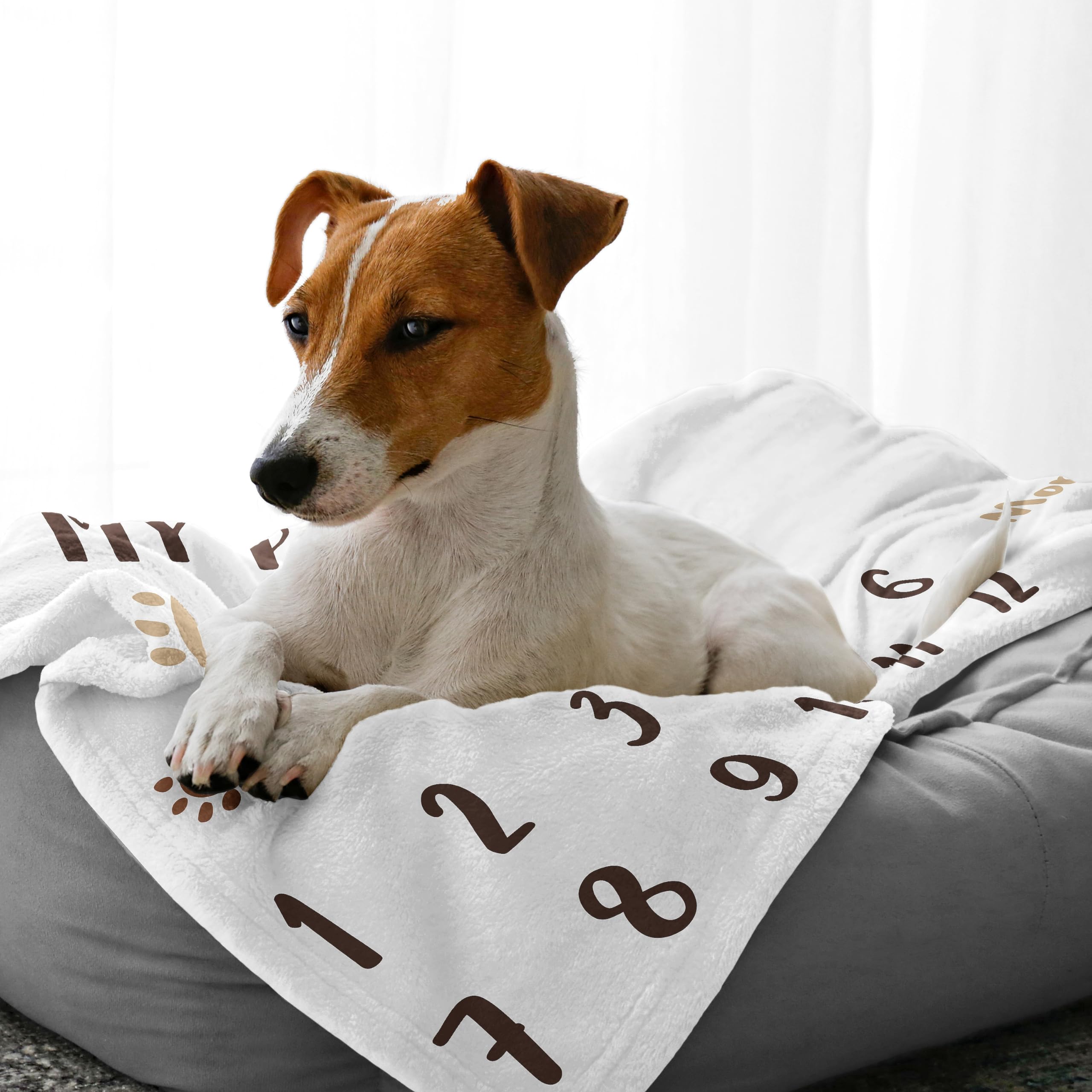 Sweet Jojo Designs Brown And White Doggy Dog Birthday Puppy Milestone Blanket - Monthly Yearly Photo Op Growth Memory Gift Set P