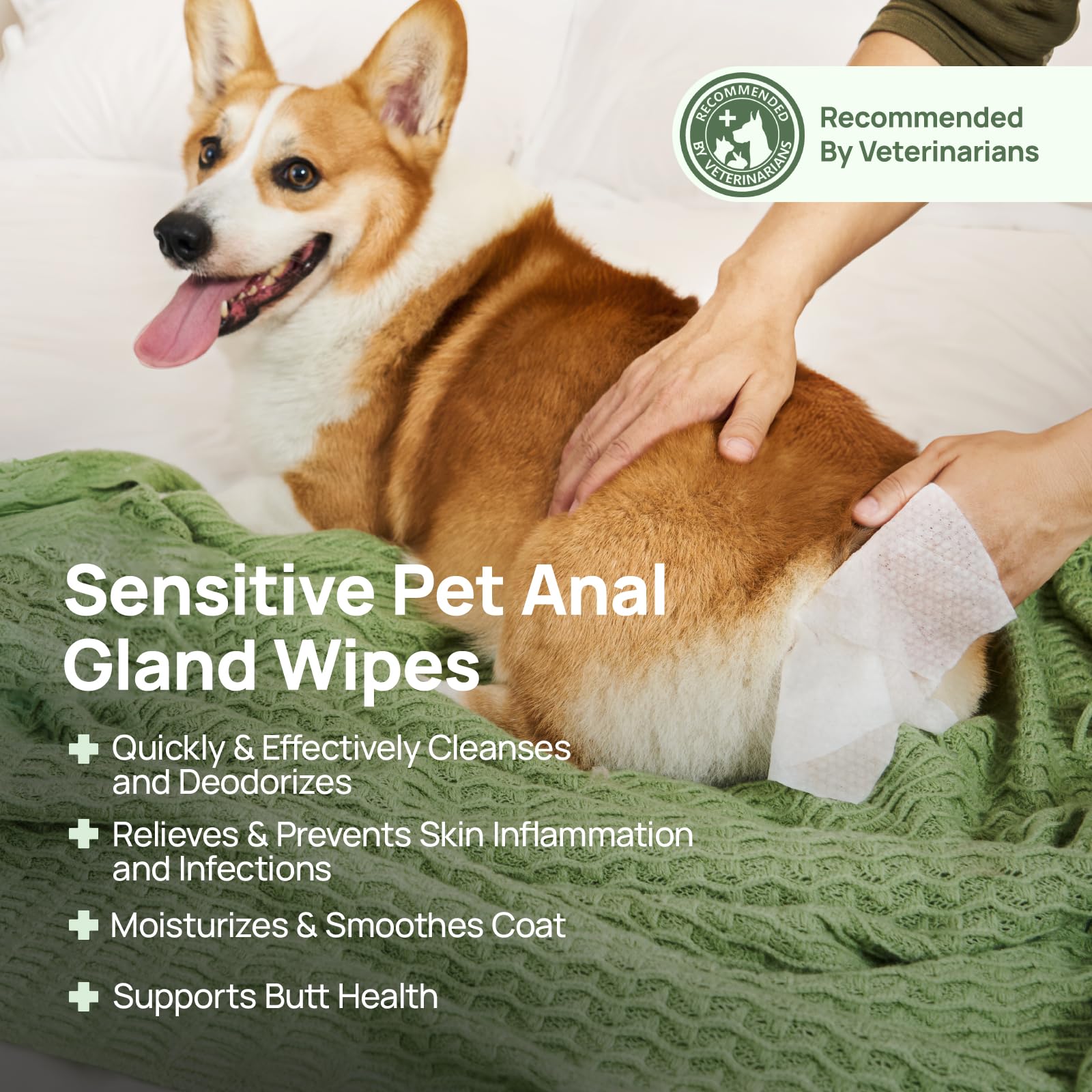 Hicc Pet Wipes For Dogs & Cats, Cleansing Deodorizing & Soothing Allergy Infections Anal Gland Pets Wipes With Coconut Oil - Dog
