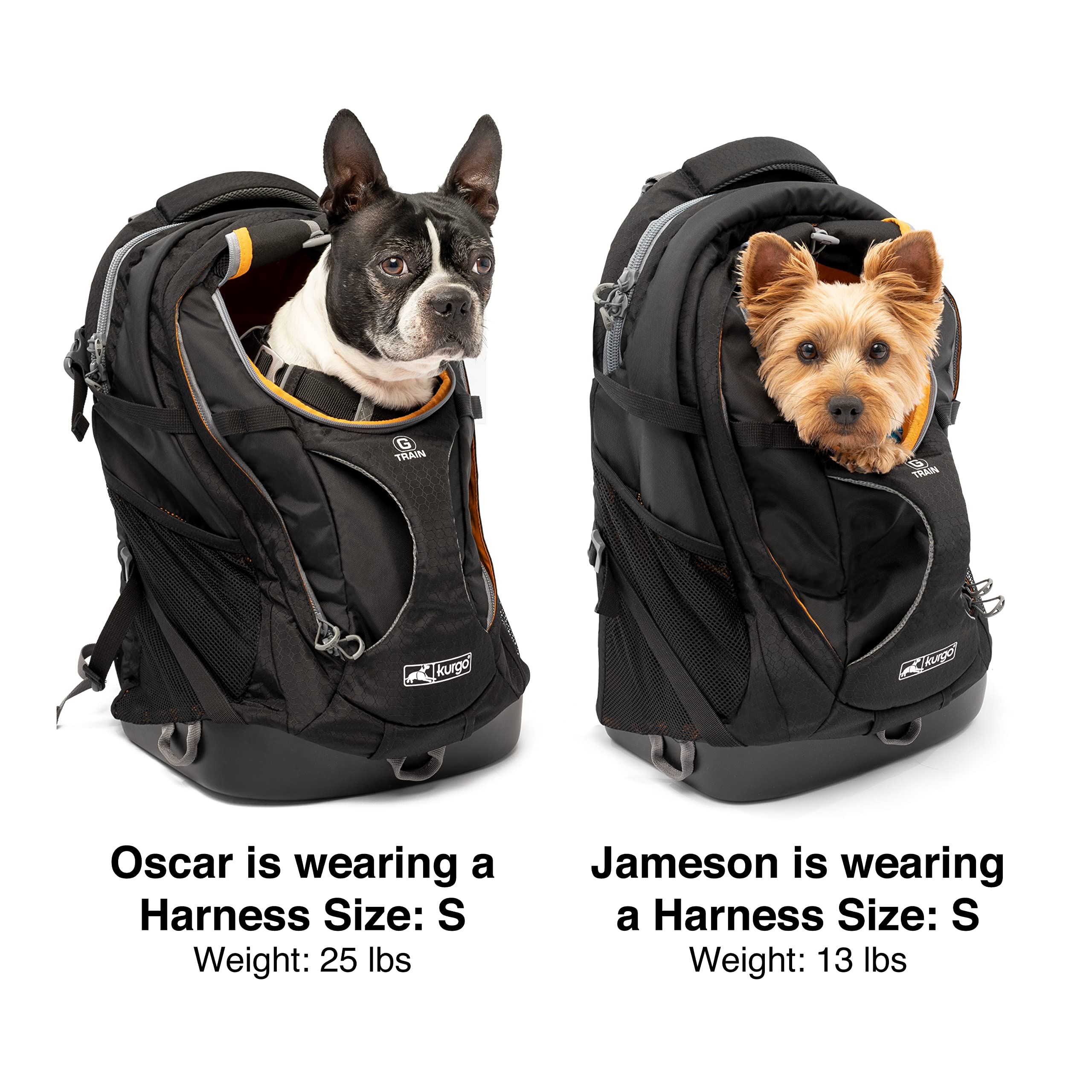 Kurgo G-Train Dog Carrier Backpack For Small Pets Up To 25 Lbs, Tsa & Airline Approved, Navy Blue