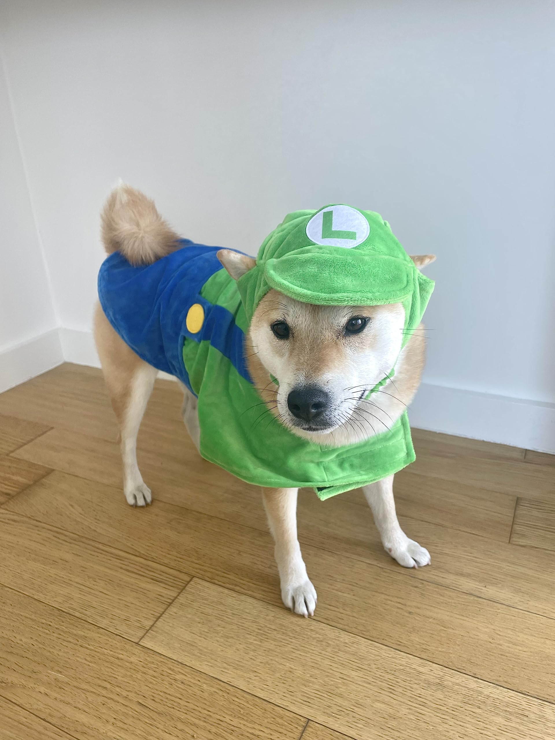 Comfycamper Hat And Suspenders Dog Costume - X Large Medium Small Lab Star Space Cosplay Halloween Costumes, Small, Green