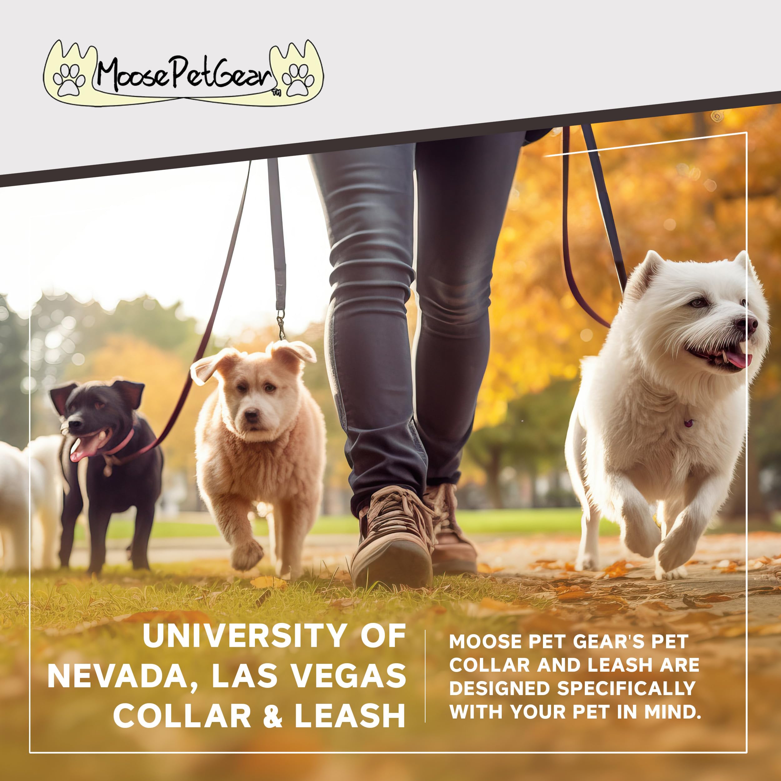 Moose Pet Wear Unlv Dog Collar - Deluxe Adjustable Dog Collars, 1 Inch Wide Collar Adjusts 13 – 21 Inches, Large, Carbon Fiber Red