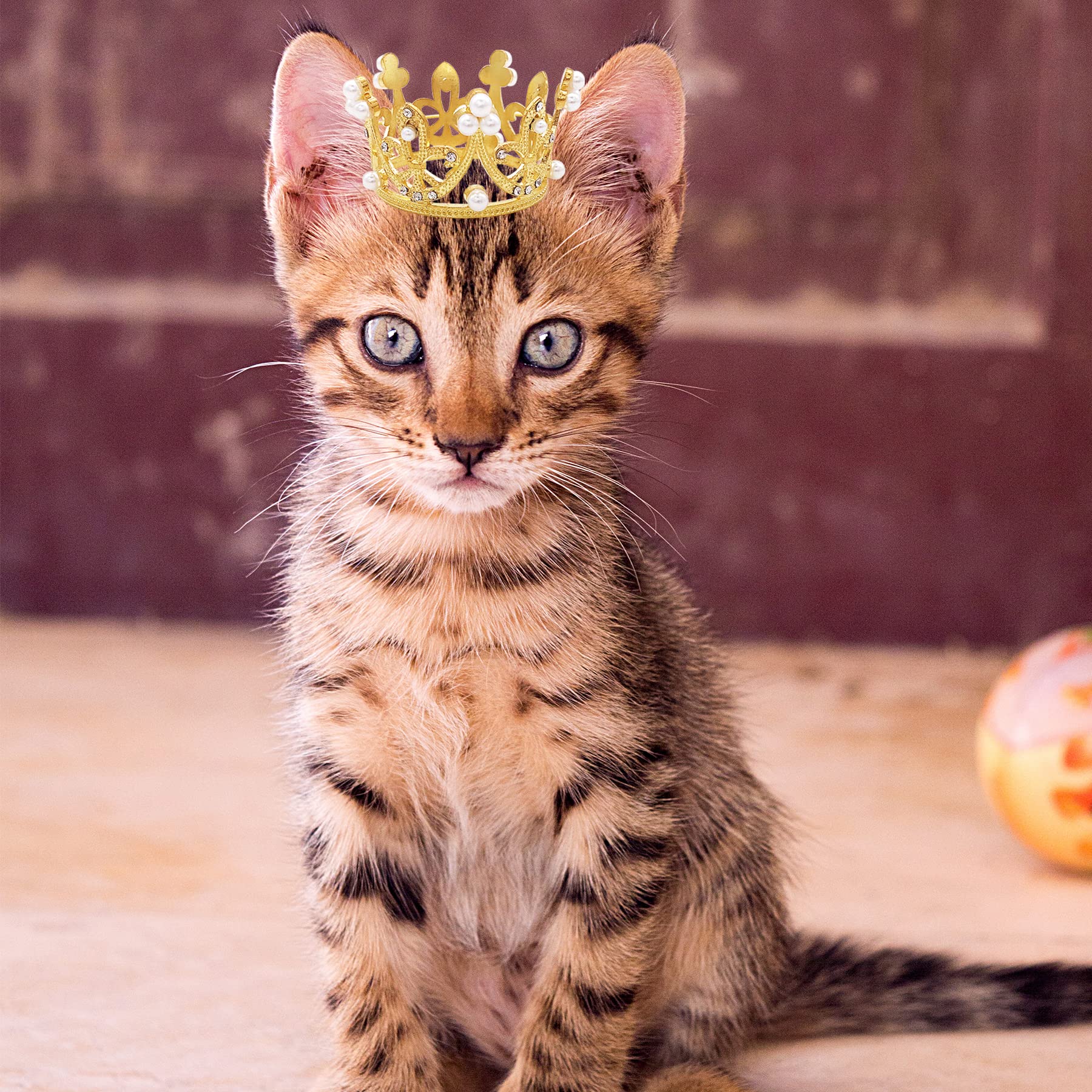 Pet Show 2Pcs Small Dog Crown Headband Puppies Rabbit Cat Hat For Birthday Party Silver Gold Rhinestone Faux Pearl Crown For Boy Girl Wedding Hair Accessories Photo Prop Costume