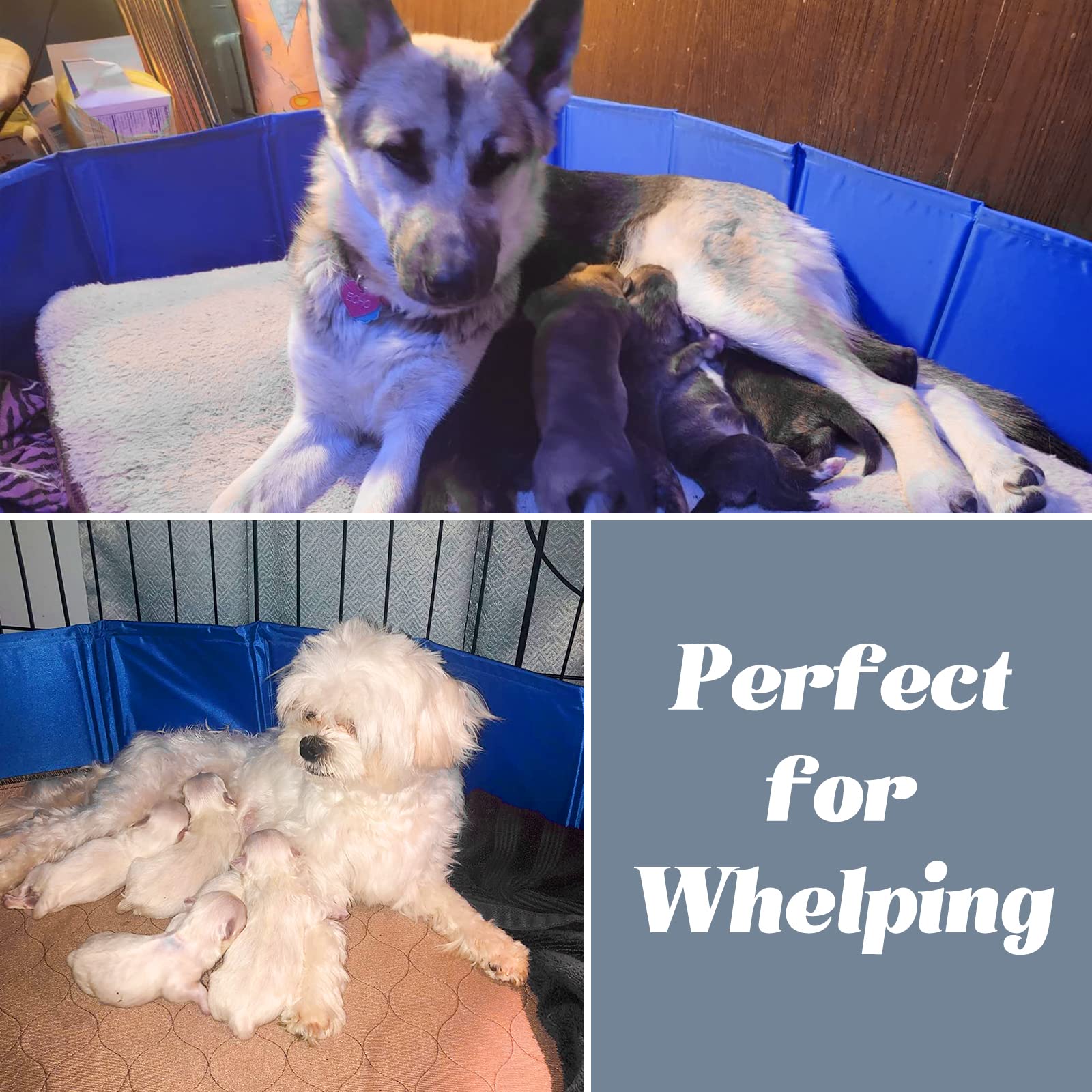 Artilife Whelping Box for Dogs Welp Box Whelping Pool,Puppy Whelping Pen for Dogs Puppies,Great for Puppies,Easy to Clean (47inc
