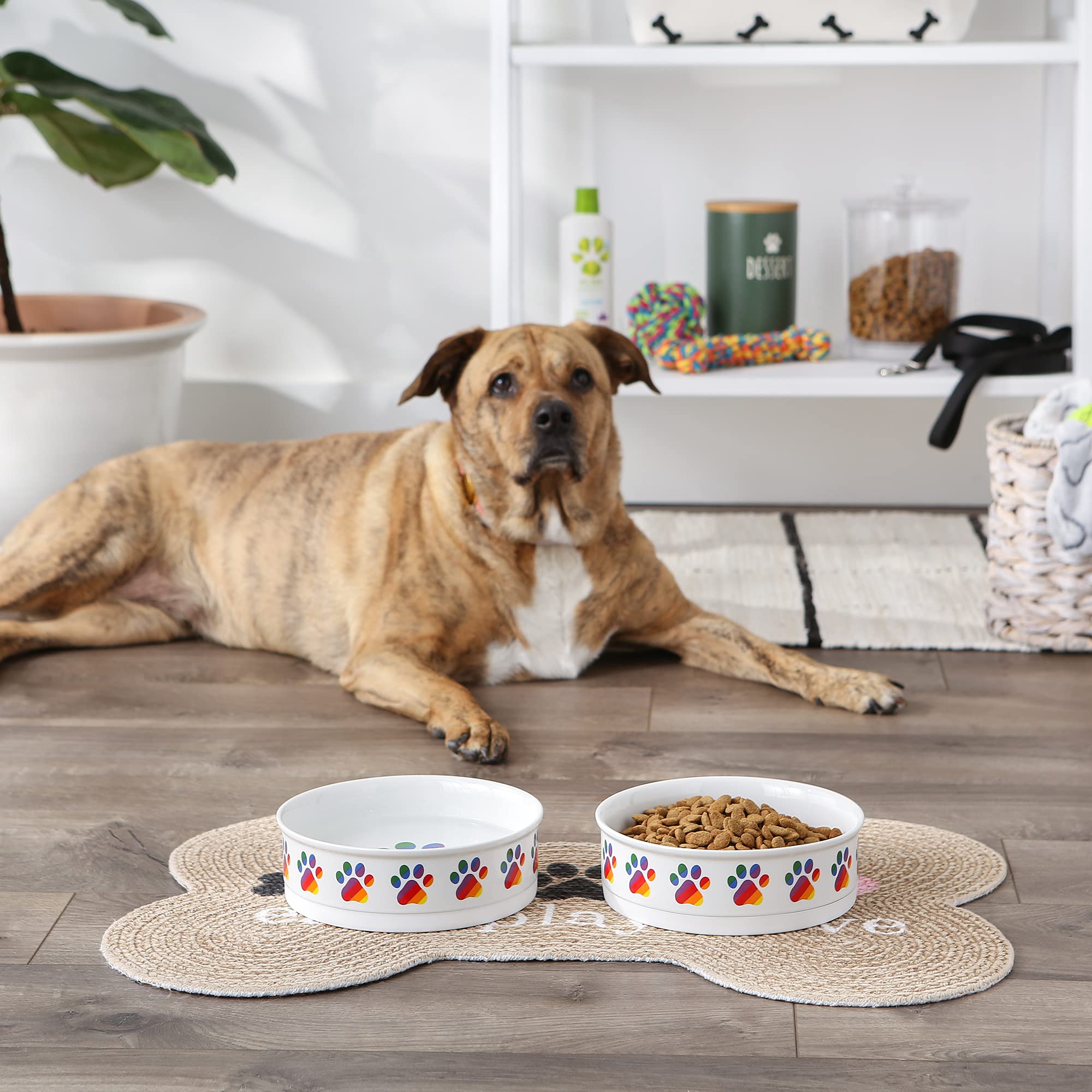 DII Pet Bowl Rainbow Paw, Large 7.5Dx2.4H (Set of 2)