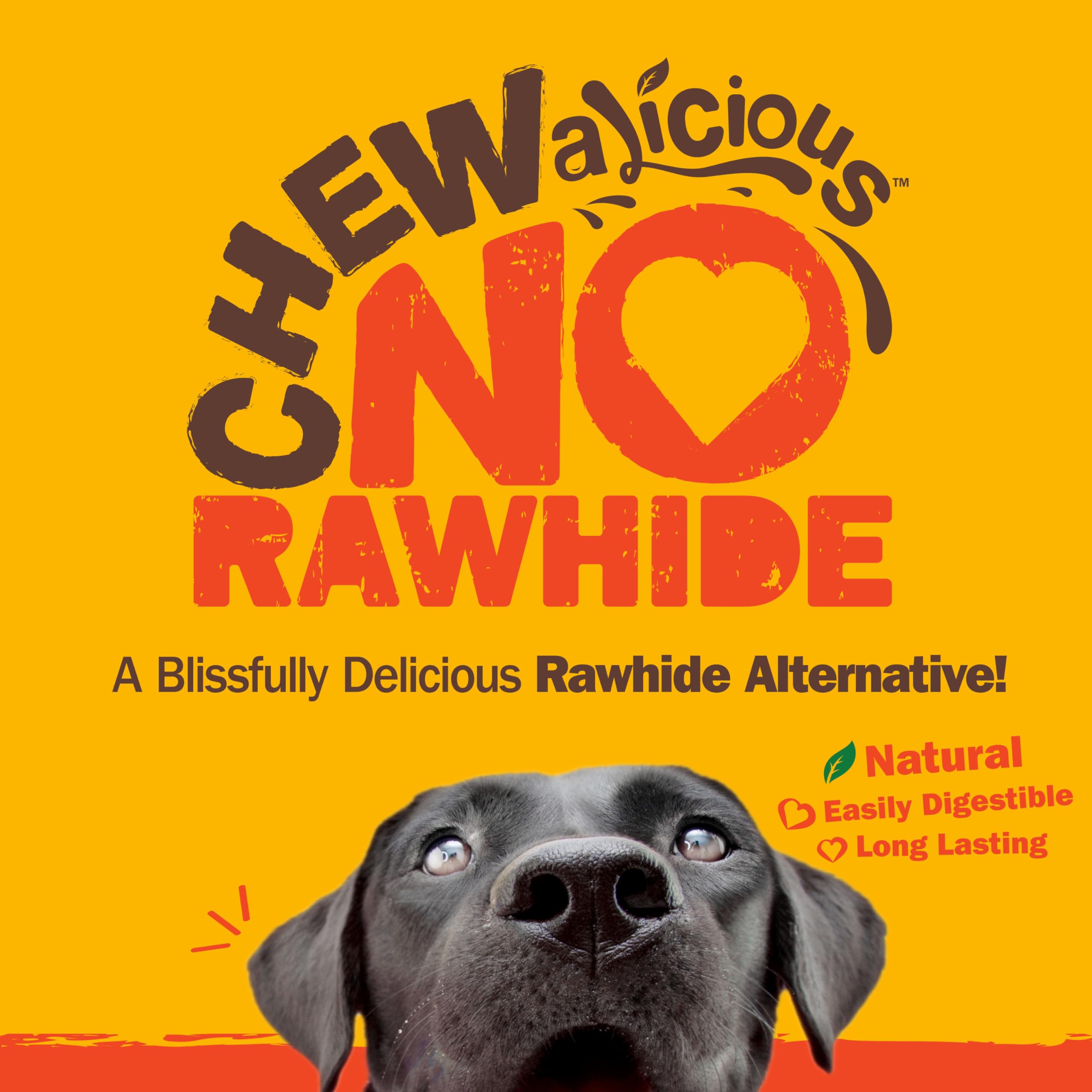 Cadet Chewalicious Chewy N Crunchy Braid Dog Treats, Limited Ingredient, Rawhide-Free, Long-Lasting Chews for Dogs Made with Re