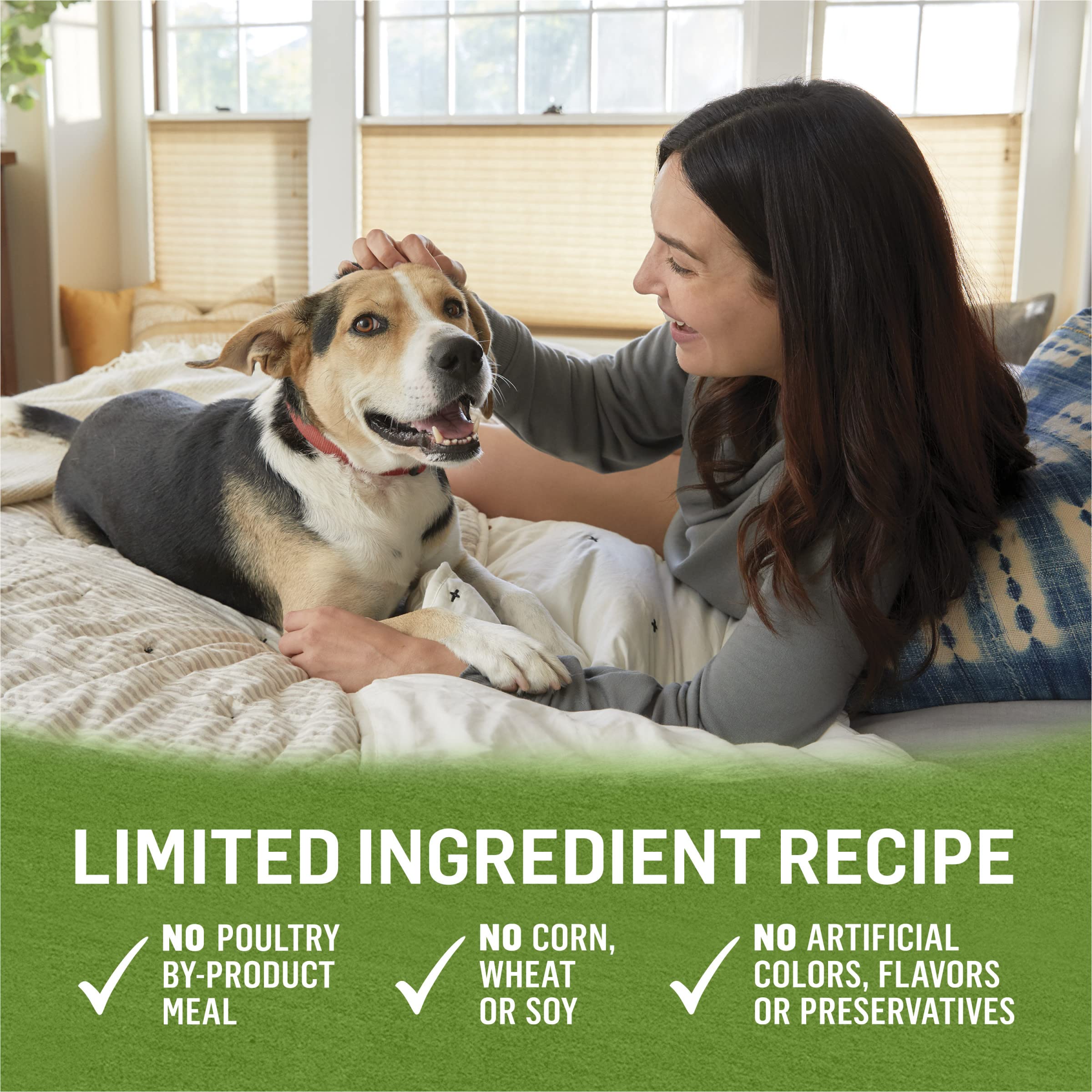 Purina Beyond Grain Free, Natural Pate Wet Dog Food, Grain Free Chicken, Lamb &amp; Spinach Recipe - (12) 13 oz. Cans