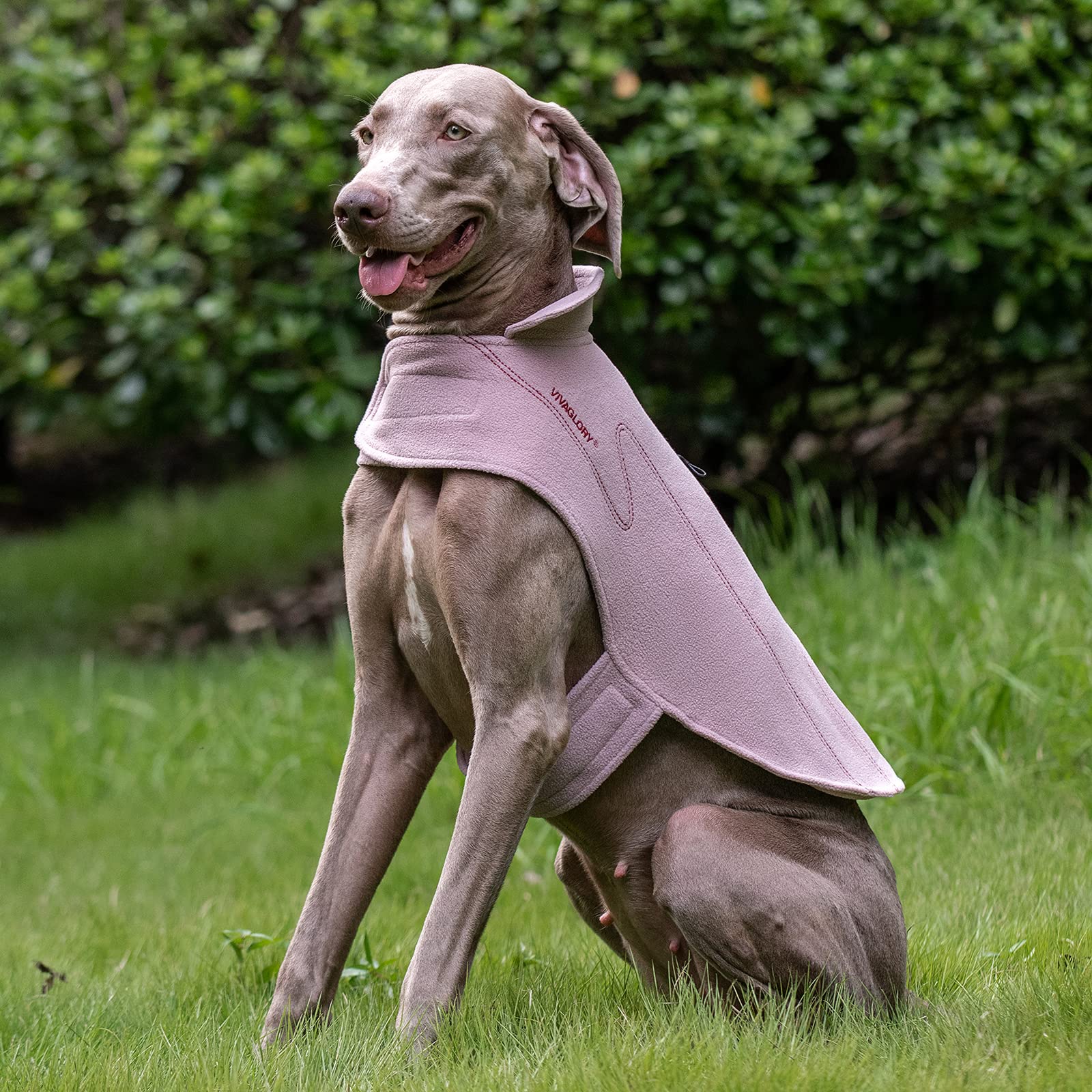 Vivaglory Dog Fleece Coat Warm Jacket With Hook And Loop Fastener, Easy To Take On And Off, Winter Vest Sweater For Small Medium Large Dogs Puppy Windproof Clothes For Cold Weather, Pink, Xl