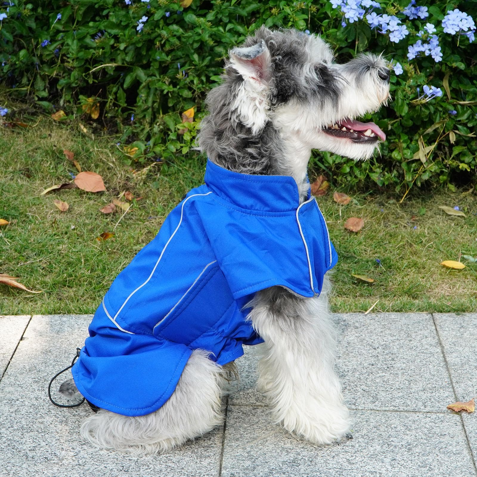 Migohi Dog Jacket Winter Coat - Reflective For Large Dogs, Boys Girls - Pet Coat For Hiking Camping - Labrador, Pit Bull - Blue,