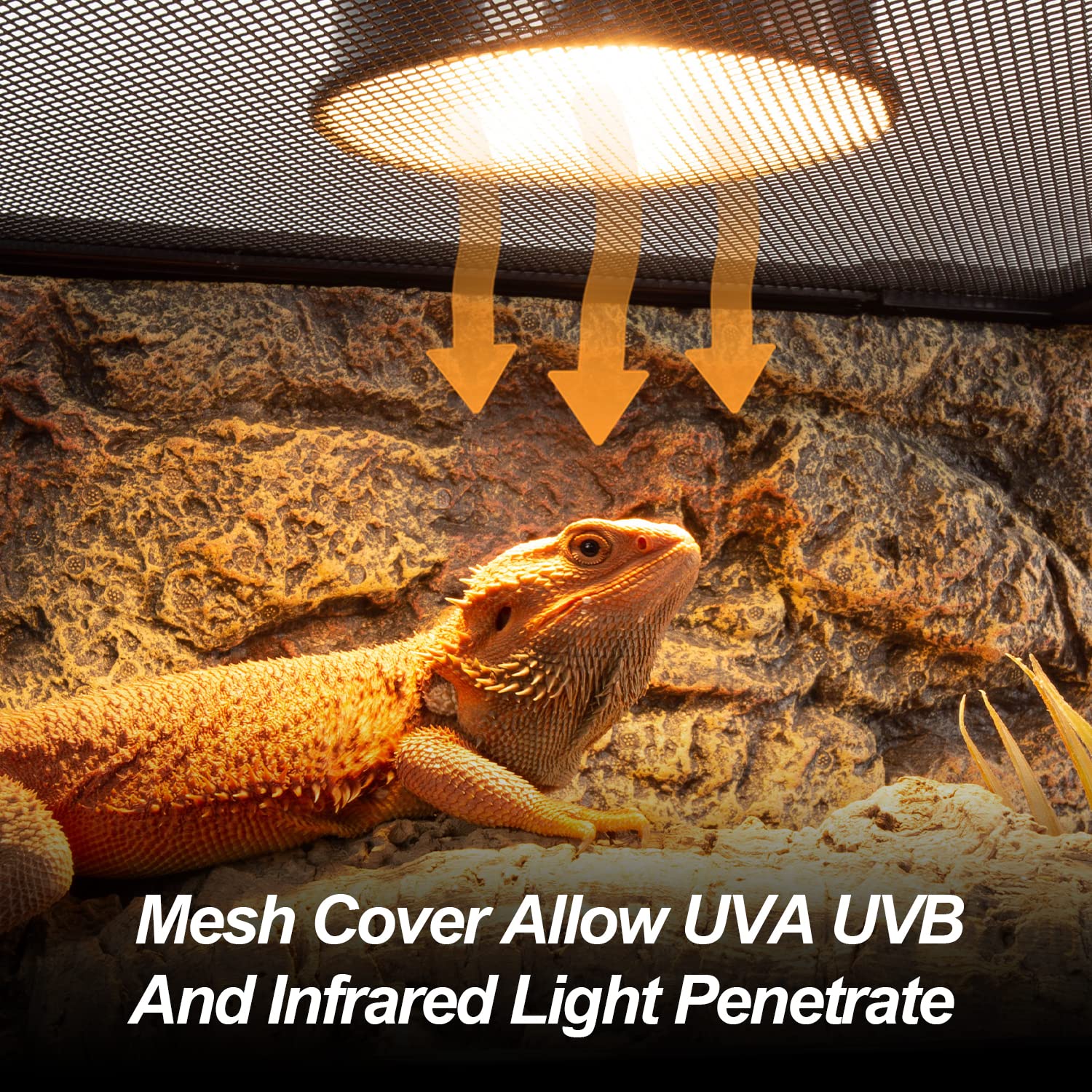 Wacool Terra Large Reptile Tank 25 Gallon, 360Full Vision Glass Reptile Terrarium With Top Mesh Lid For Beaded Dragon Lizard Gec