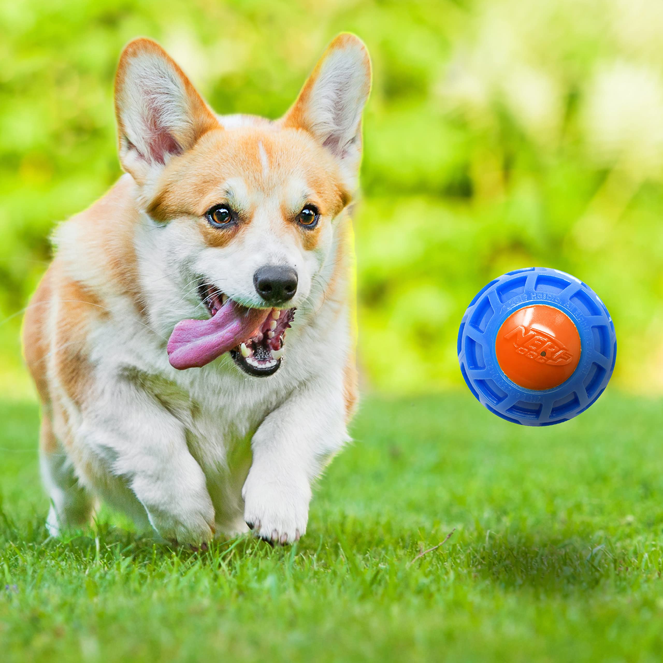 Nerf Dog 3In Tpr Exo Squeak Ball - Blue/Orange