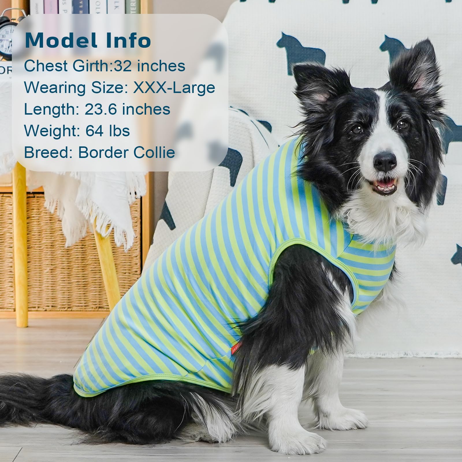 Kyeese 2Pack Dog Shirts Striped T Shirt For Large Dogs Lightweight Clothes Sleeveless Vest Cotton Tank Top, Xxx-Large,Blue+Strip