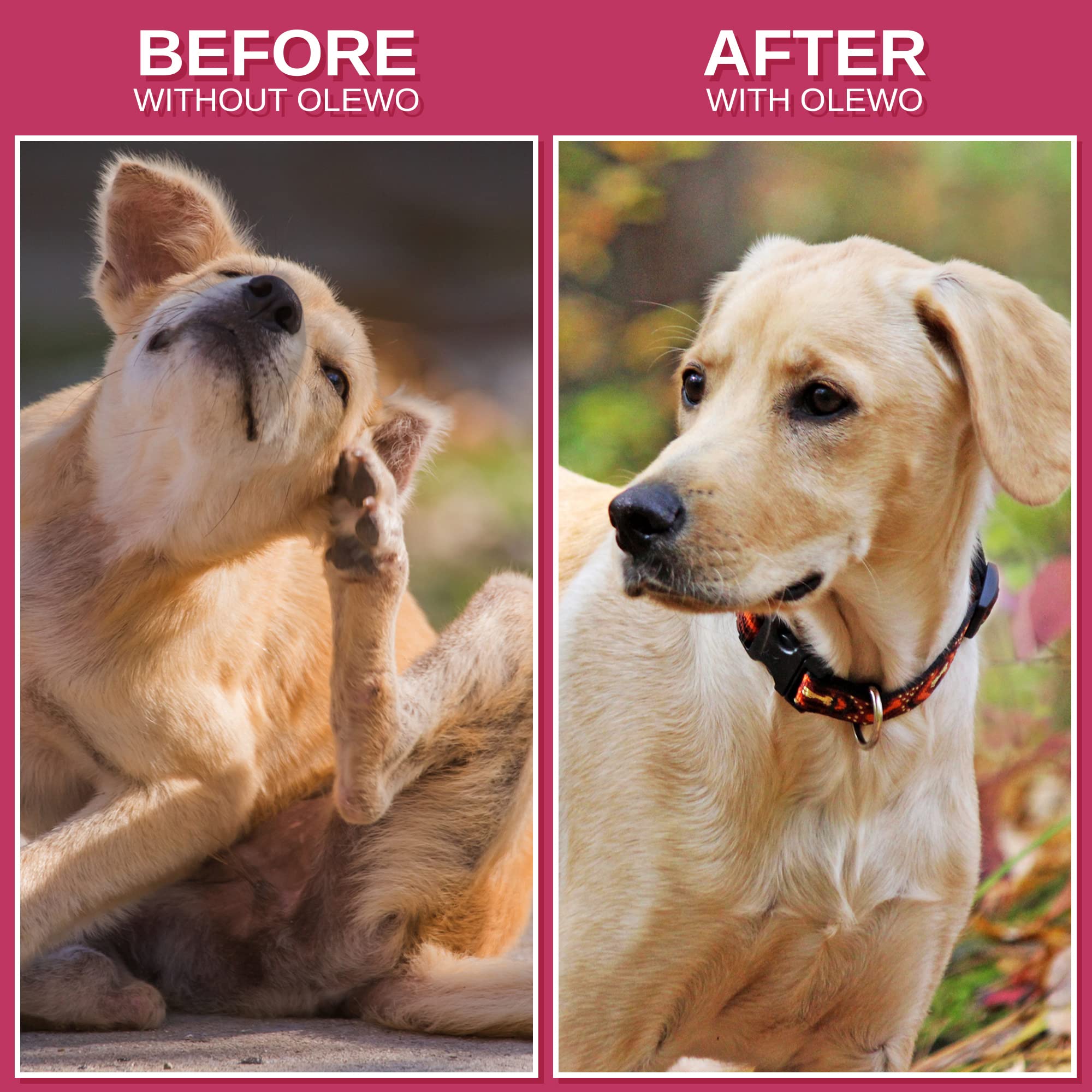 Olewo Original Red Beets for Dogs - Natural Anti Itch for Dogs, Dog Food Topper, Immune, Cleansing, Skin & Coat Support, Dehydra