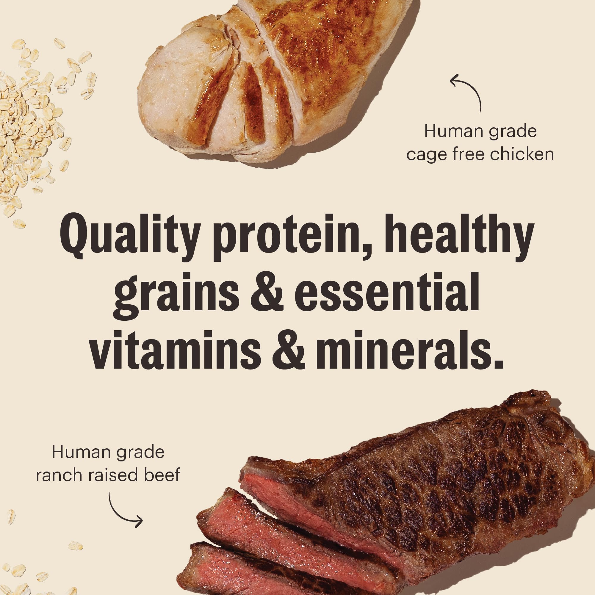 The Honest Kitchen Human Grade Essential Clusters Dry Dog Food, Whole Grain Beef & Chicken 5 lb Bag