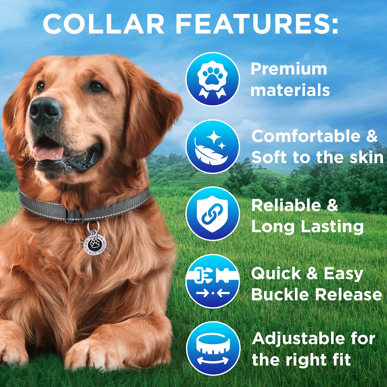 Teceum Reflective Pet Collar - Gray - S - Extra Soft Padding - Basic Nylon Dog Collar - Quick Release Buckle - Fits Small, Mediu