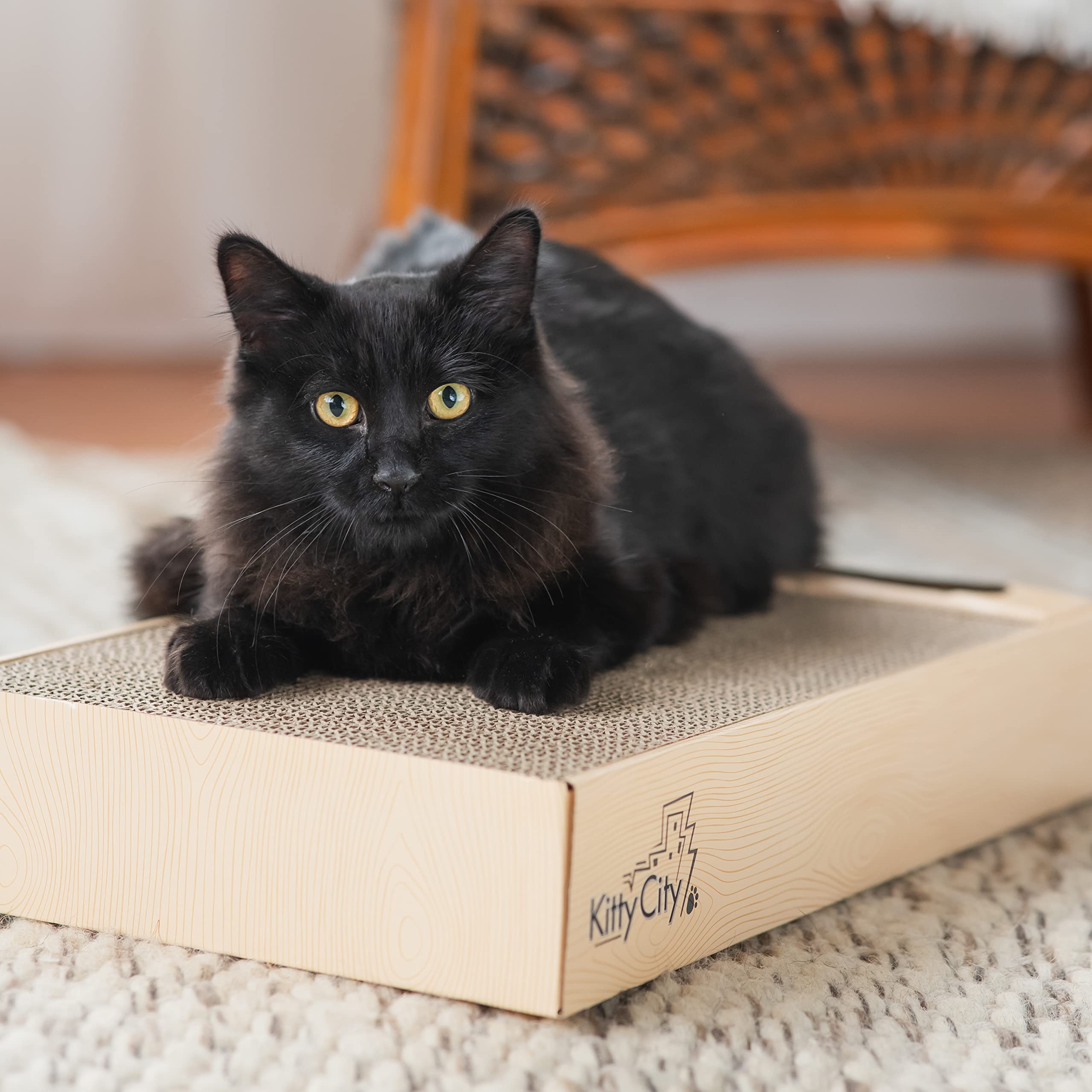 Chew King Premium Treat Dog Toy, Medium, Extremely Durable Natural Rubber Fillable Toy Collection, Frozen Feeding, All Breed Siz