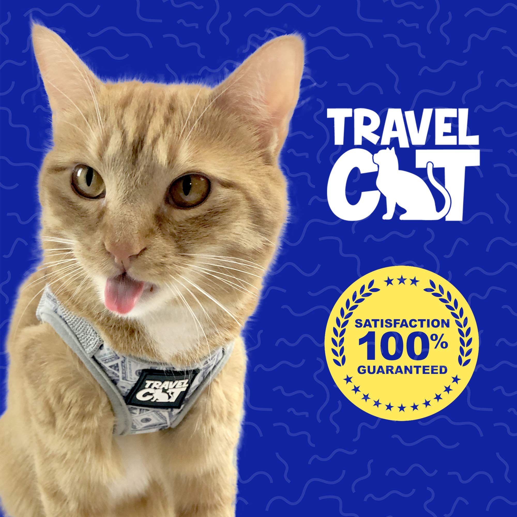 Travel Cat & Stray Cat Harness And Leash Set - Adjustable Fit Mesh Cat Harness And Reflective Strap - Comfort Escape Proof Harness For Cats, Kitten For Outdoor Walking, Hiking (Extra Small, Cashcat)