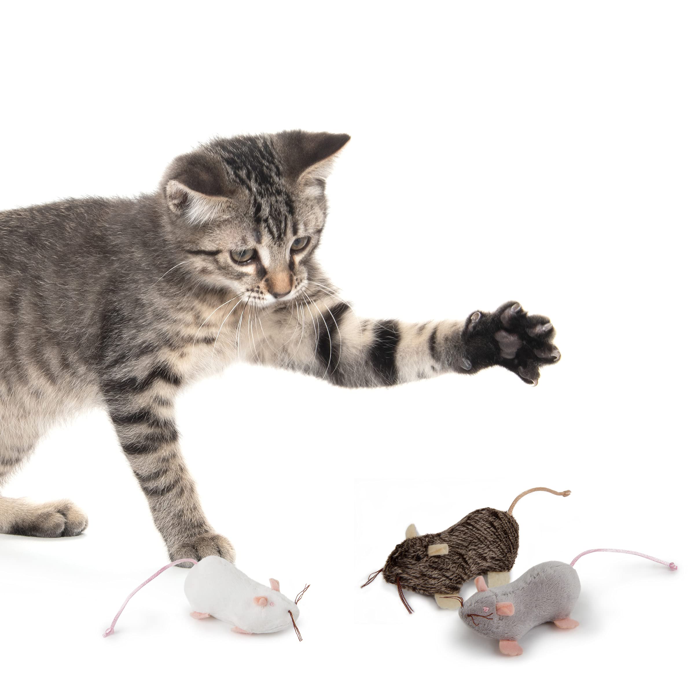 Petlinks Lil' Creepers Cat Toys - Refillable Catnip Tube, Multi Color, Set of 3, Interactive Play for Cats