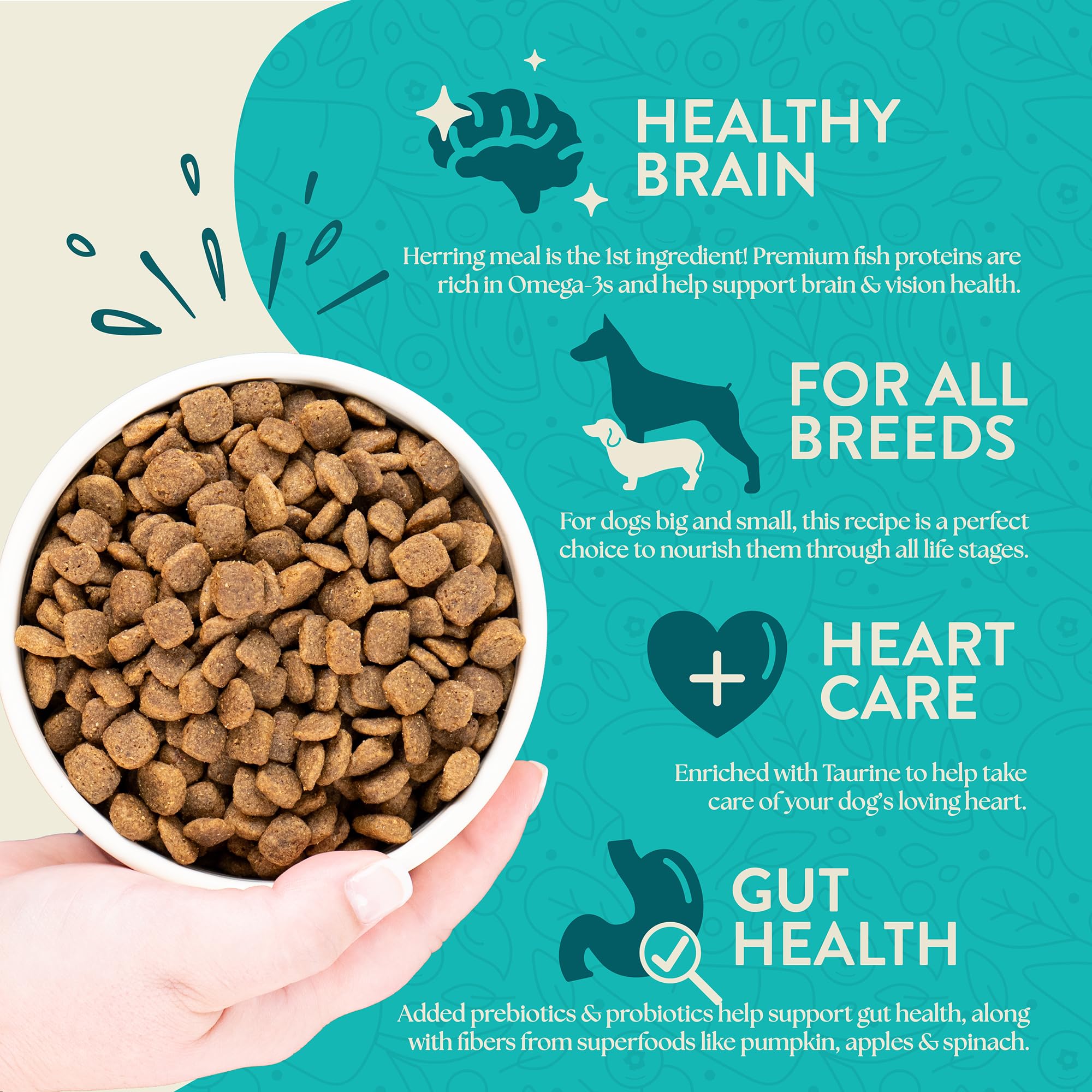 Earthborn Holistic Coastal Catch Herring Meal & Veggies Dry Dog Food 25 lb - Grain-Free, 1 Count