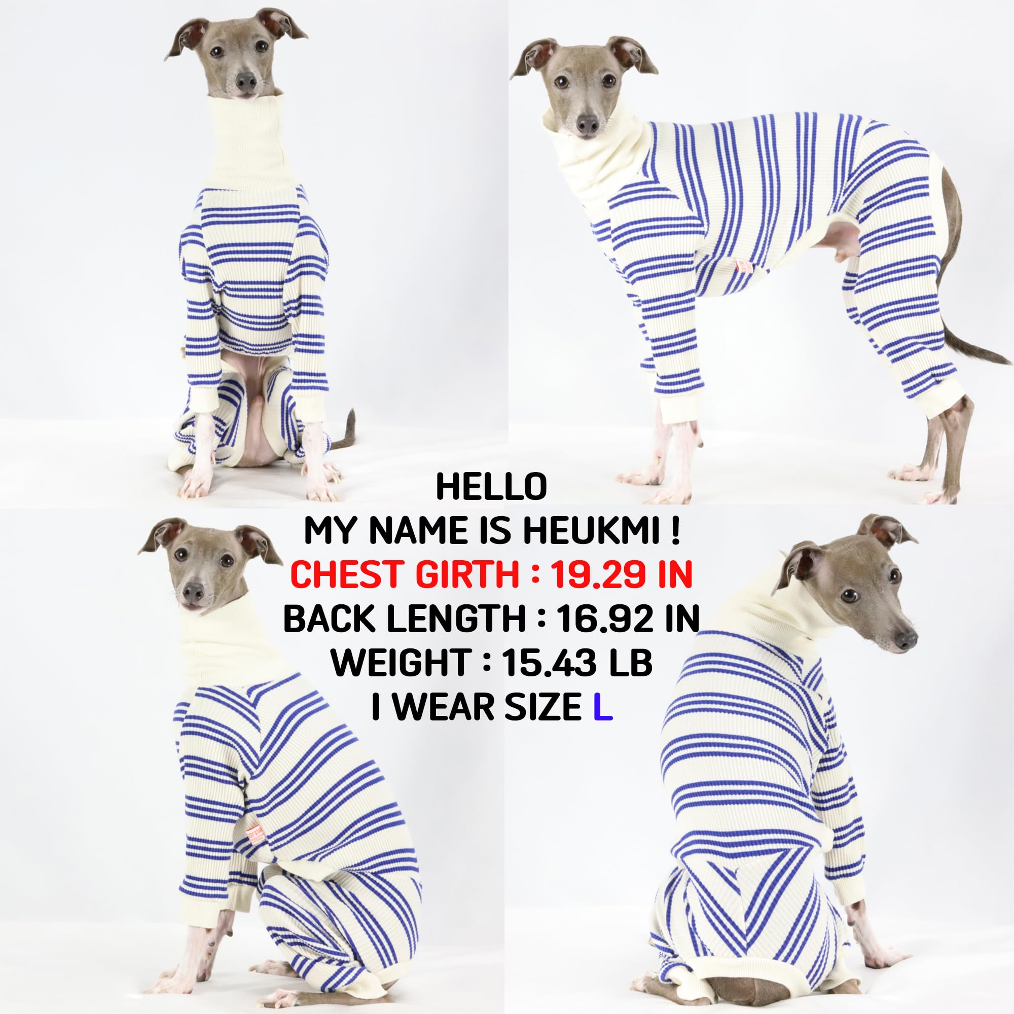 D Doggy Star Italian Greyhound Clothes Soft Stretchy Onesie Refined Stripe Outfit Whippet For Dog Coat (S,Onsi Blue Str)