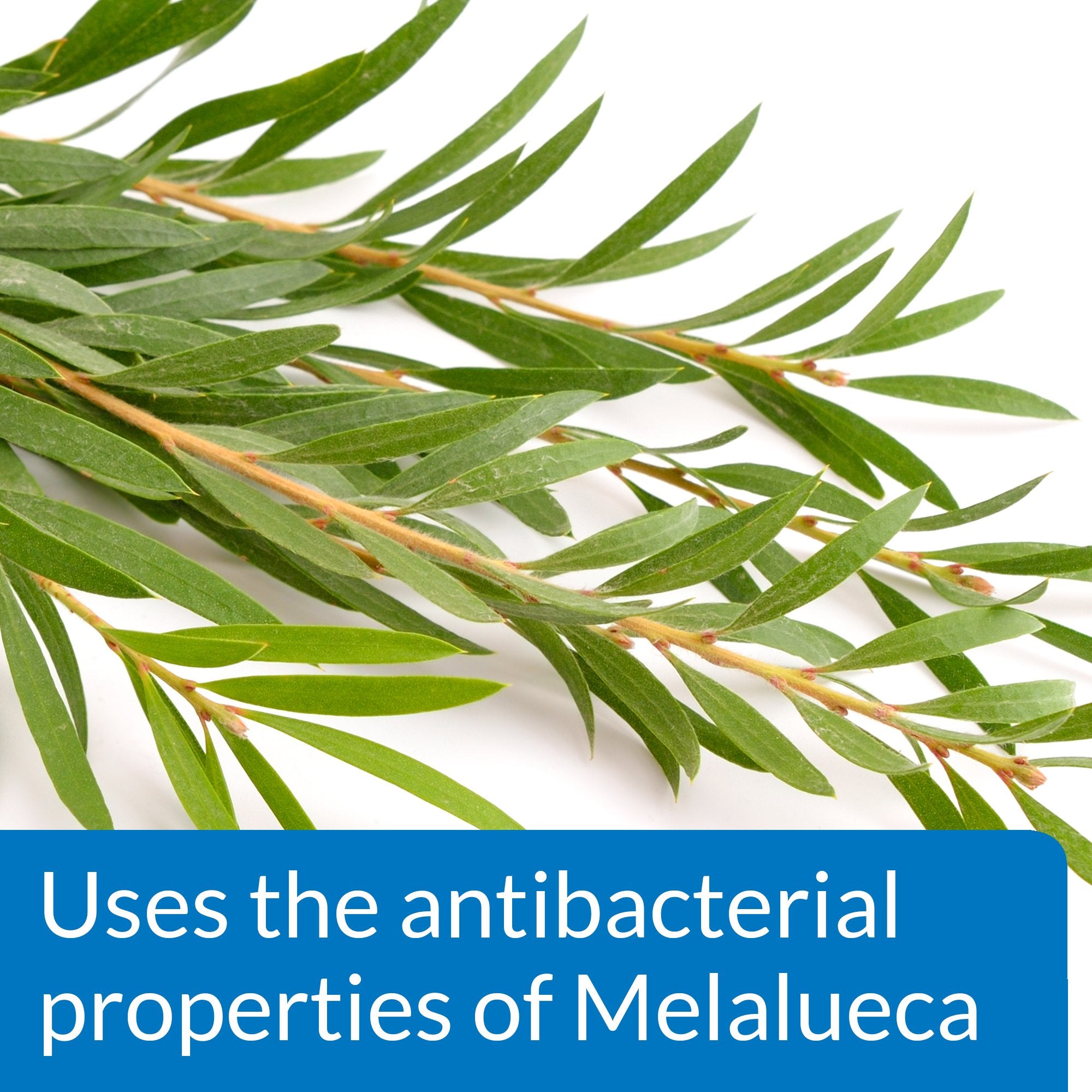 API POND MELAFIX Pond Fish Remedy, 16oz Blue Bottle, Model 176B - Effective Treatment for Pond Fish Health