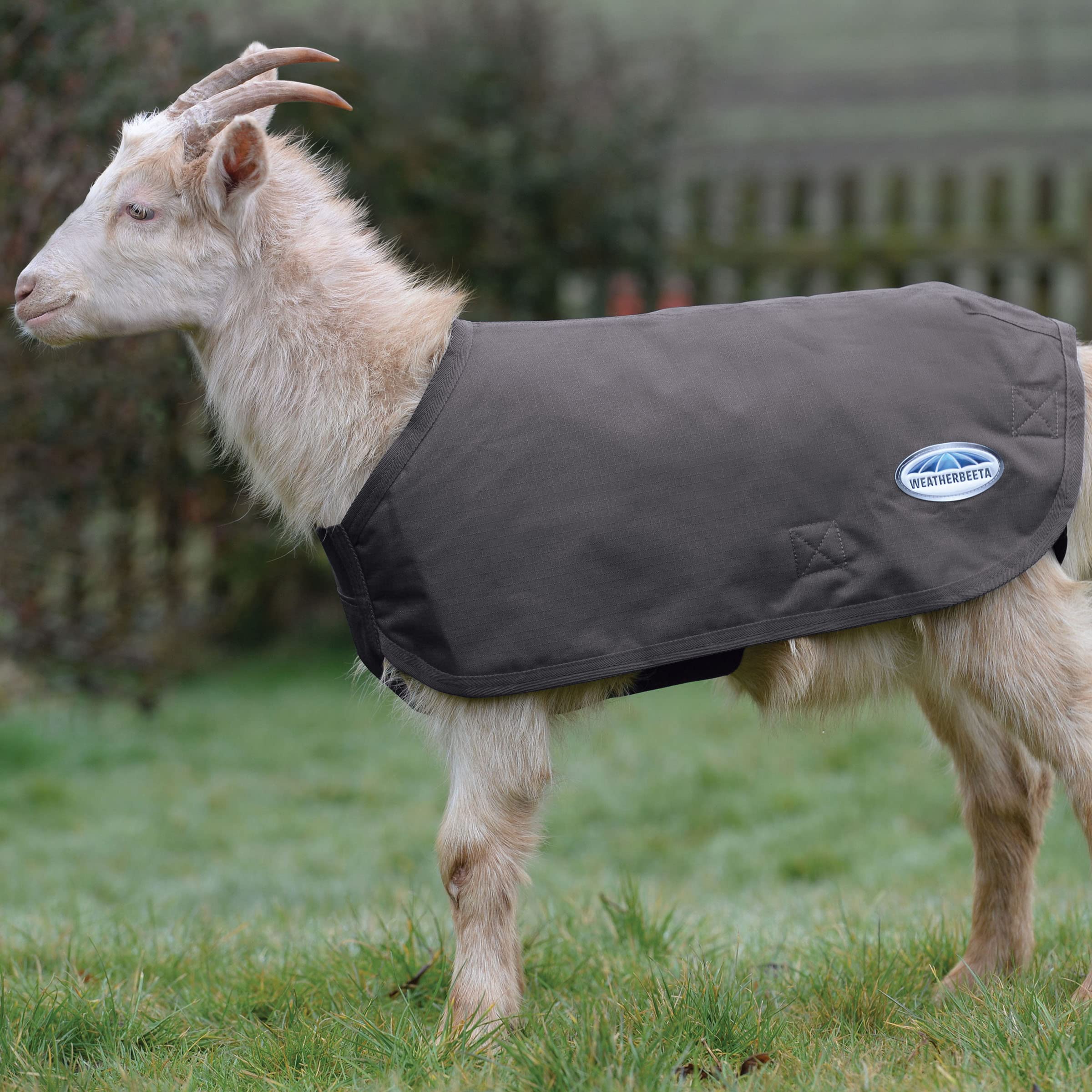 Weatherbeeta Deluxe Goat Coat, Grey, 3Extra Large