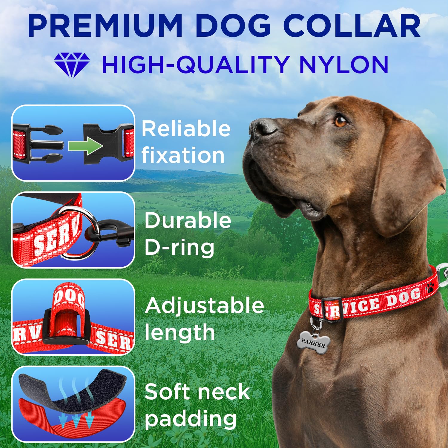 Teceum Reflective Pet Collar - Red - Service Dog - Xs - Extra Soft Padding - Basic Nylon Dog Collar - Quick Release Buckle - Fit