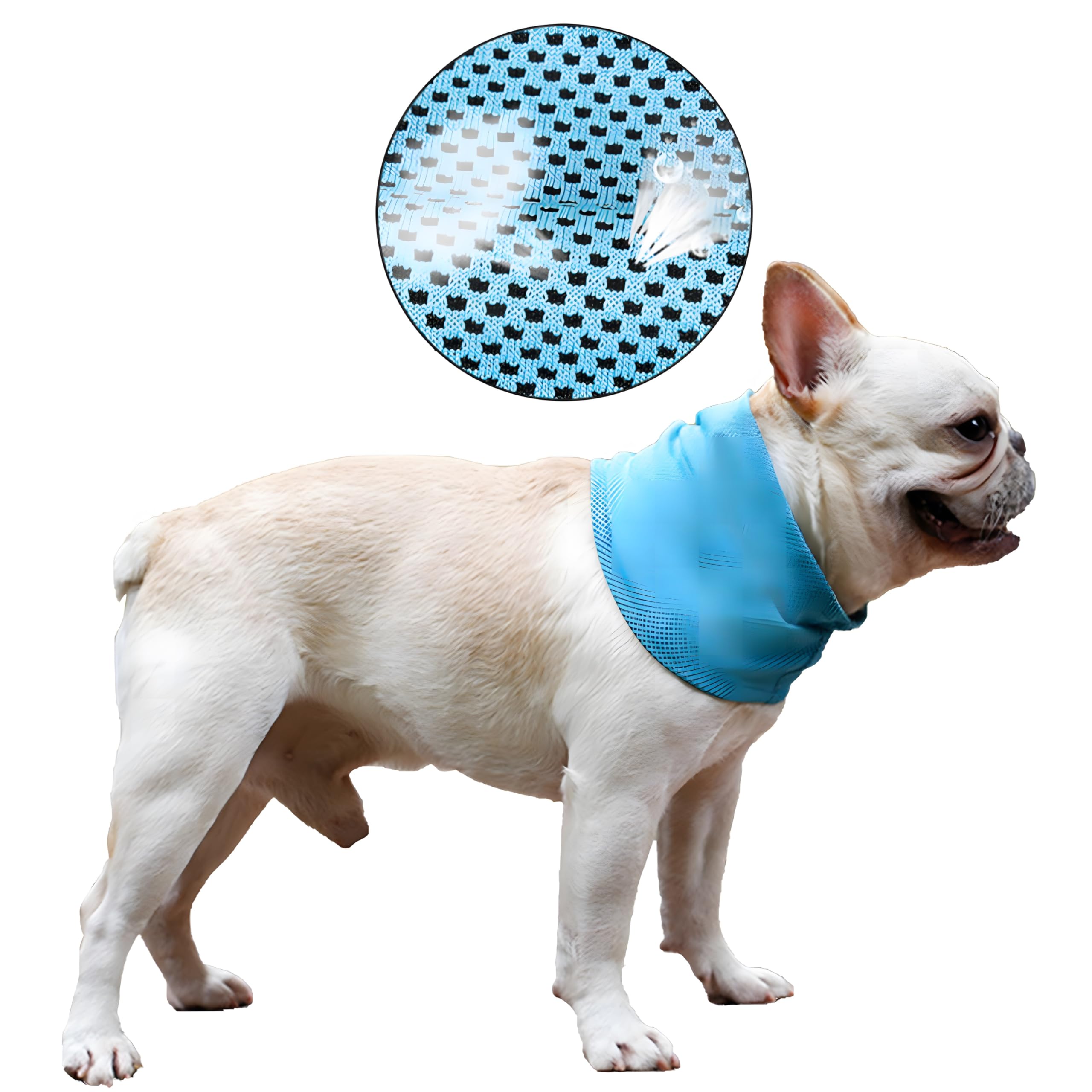 Delifur Dog Instant Cooling Bandana Pet Breathable Scarf Cats Ice Collar For Summer (Blue, M)
