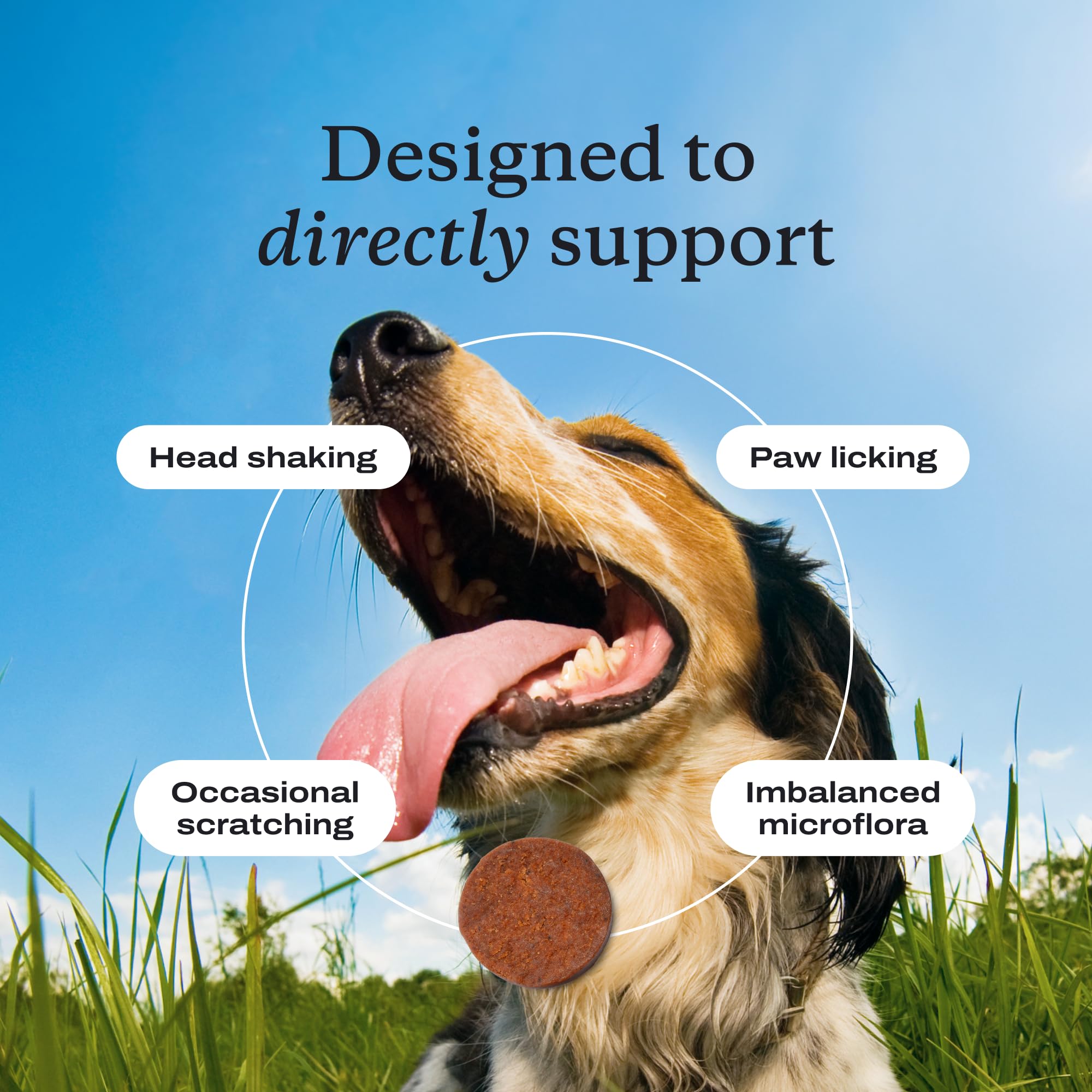 PetLab Co. Allergy & Immune Daily Probiotics for Dogs. Supports Yeast Production, Seasonal Allergies, Intermittent Itchiness, Gu