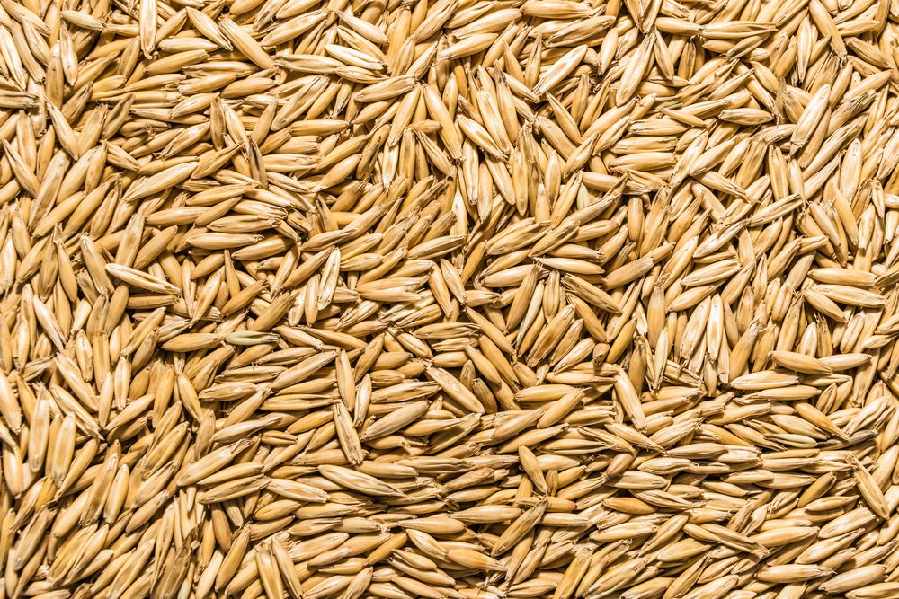 Thunder Acres Non GMO, Certified Organic, Oat seed (5 lb.)