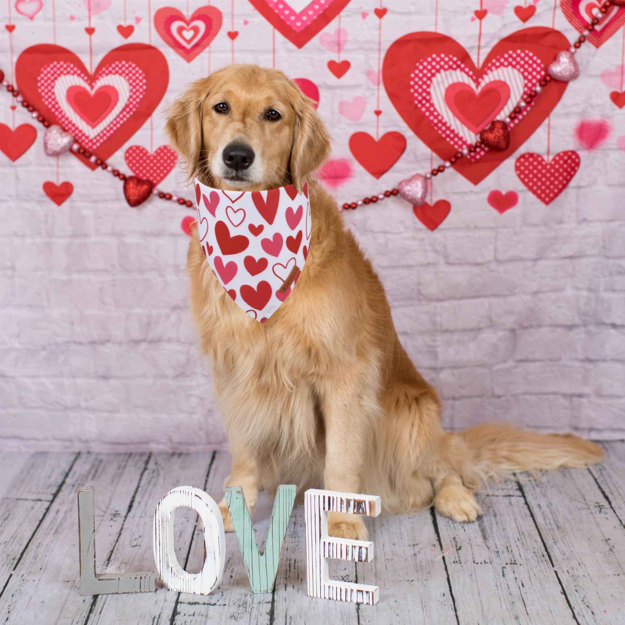 ADOGGYGO Valentine Dog Bandanas, Red Pink Heart Pet Scarf, Multi Size Offered, White Red Valentine Bandana for Medium Large Dogs