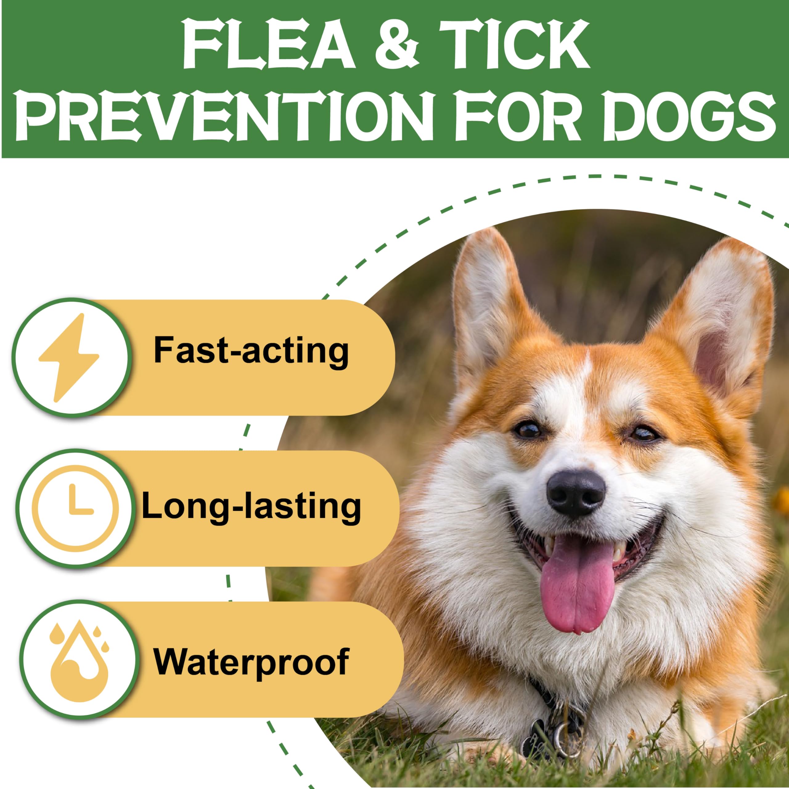 Advanllent Flea and Tick Prevention for Dogs, Flea and Tick Treatment for Medium Dog, Flea & Tick Control, 23-44 Pounds, 6 Doses