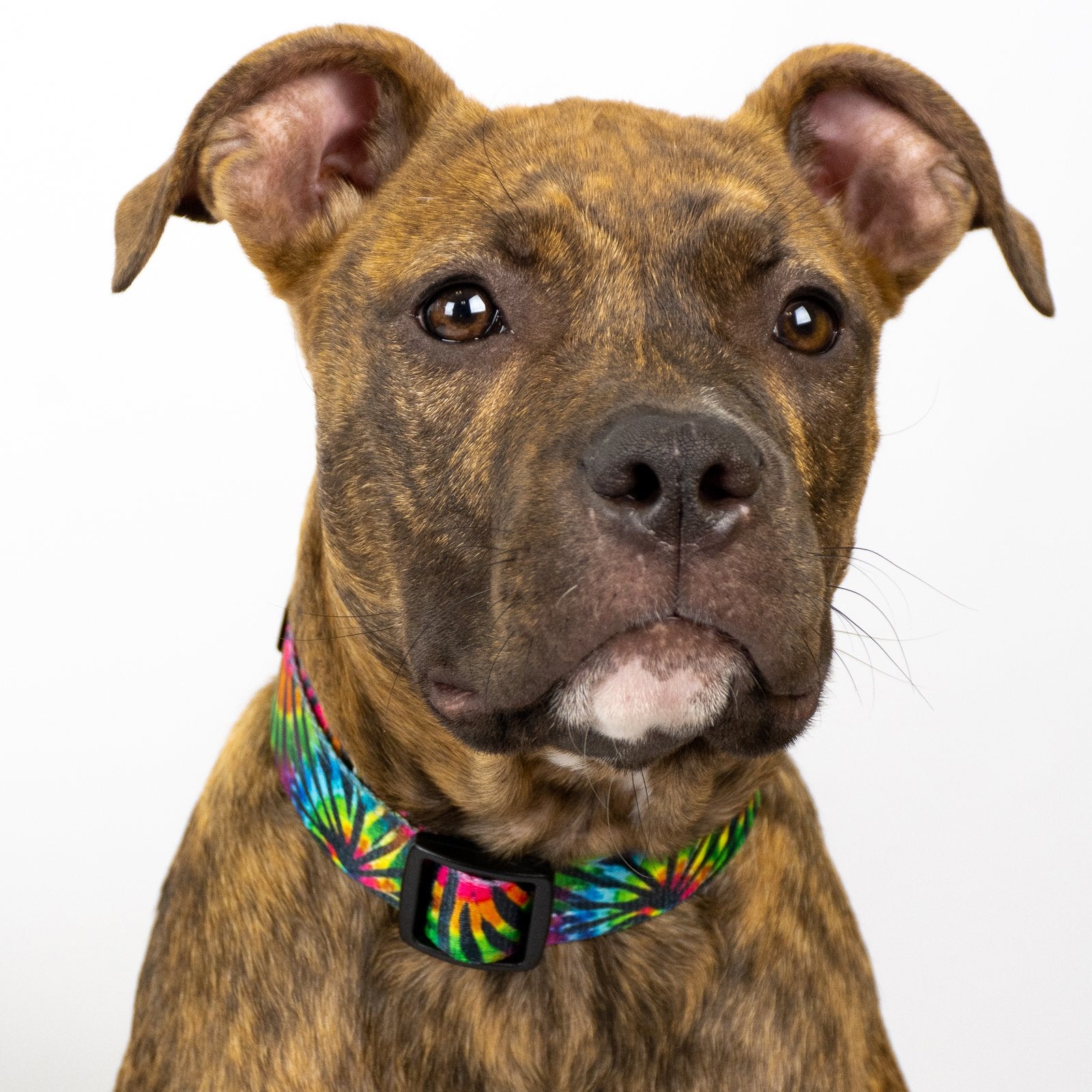 Country Brook Petz - Tie Dye Stripes Replacement Collar For Dog Fence Receivers