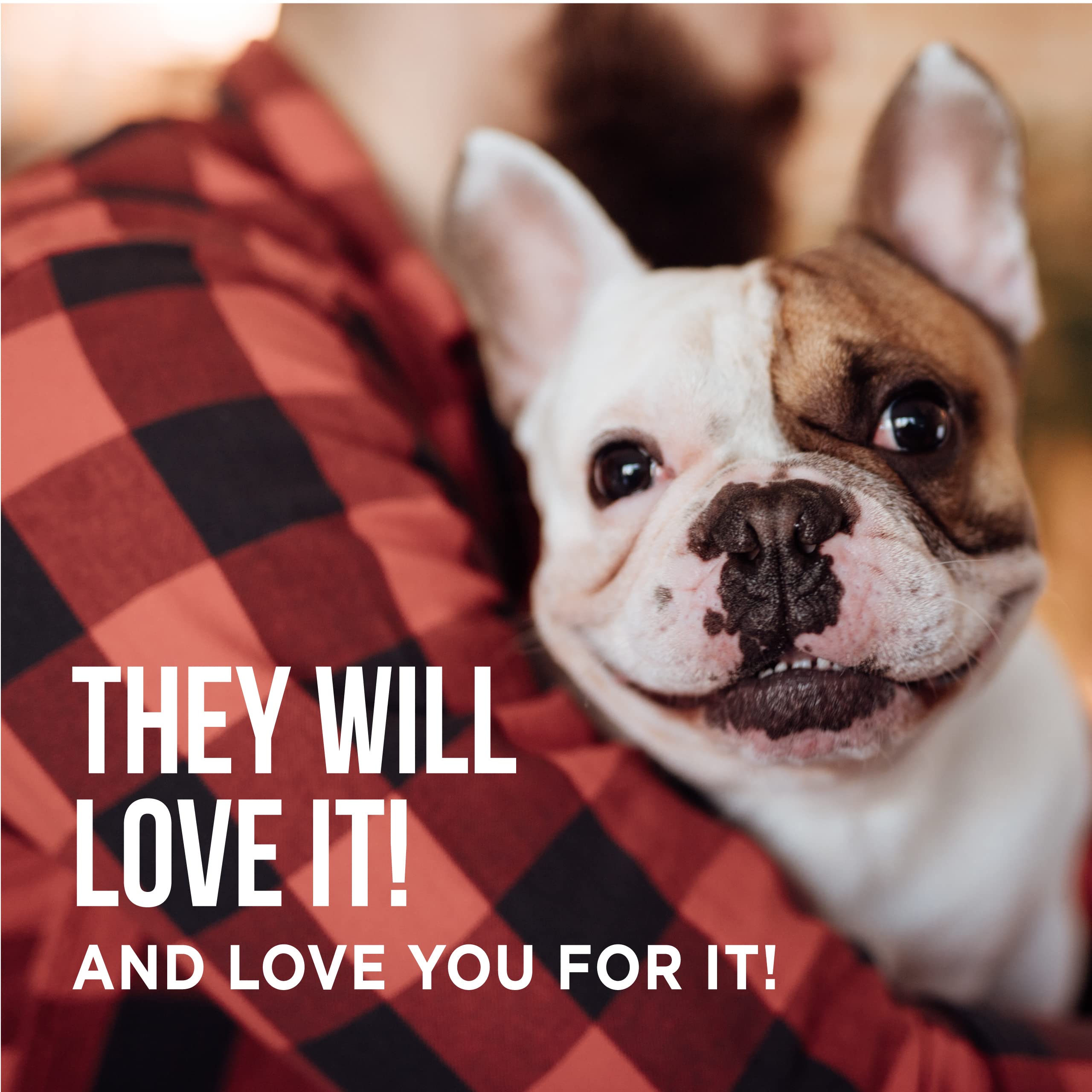 Natural Rapport Beef Tendon Dog Treats - The Only Beef Tendon Chews Dogs Need - All Natural Dog Treats for Small and Large Dogs