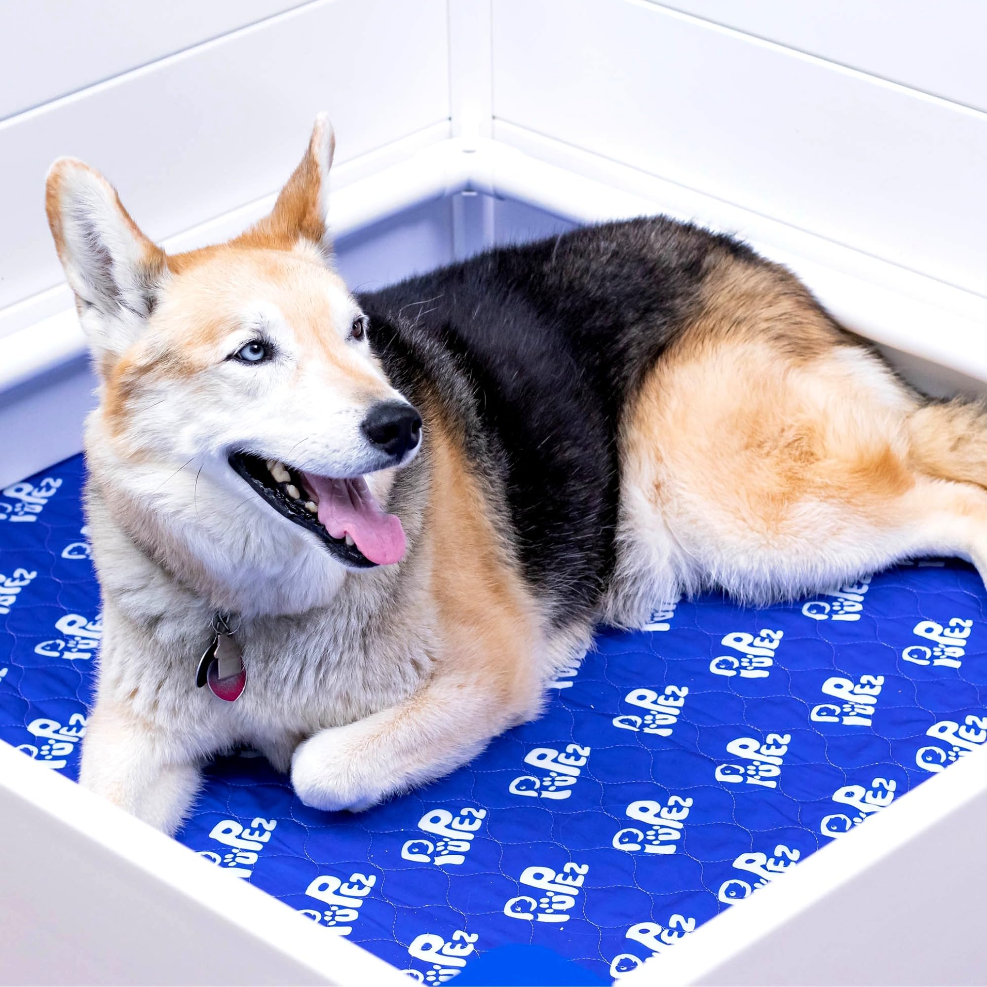 PUPez Whelping Box - 48x48x18 - Whelping Bed, Pen for Puppies, Large Breed Dogs