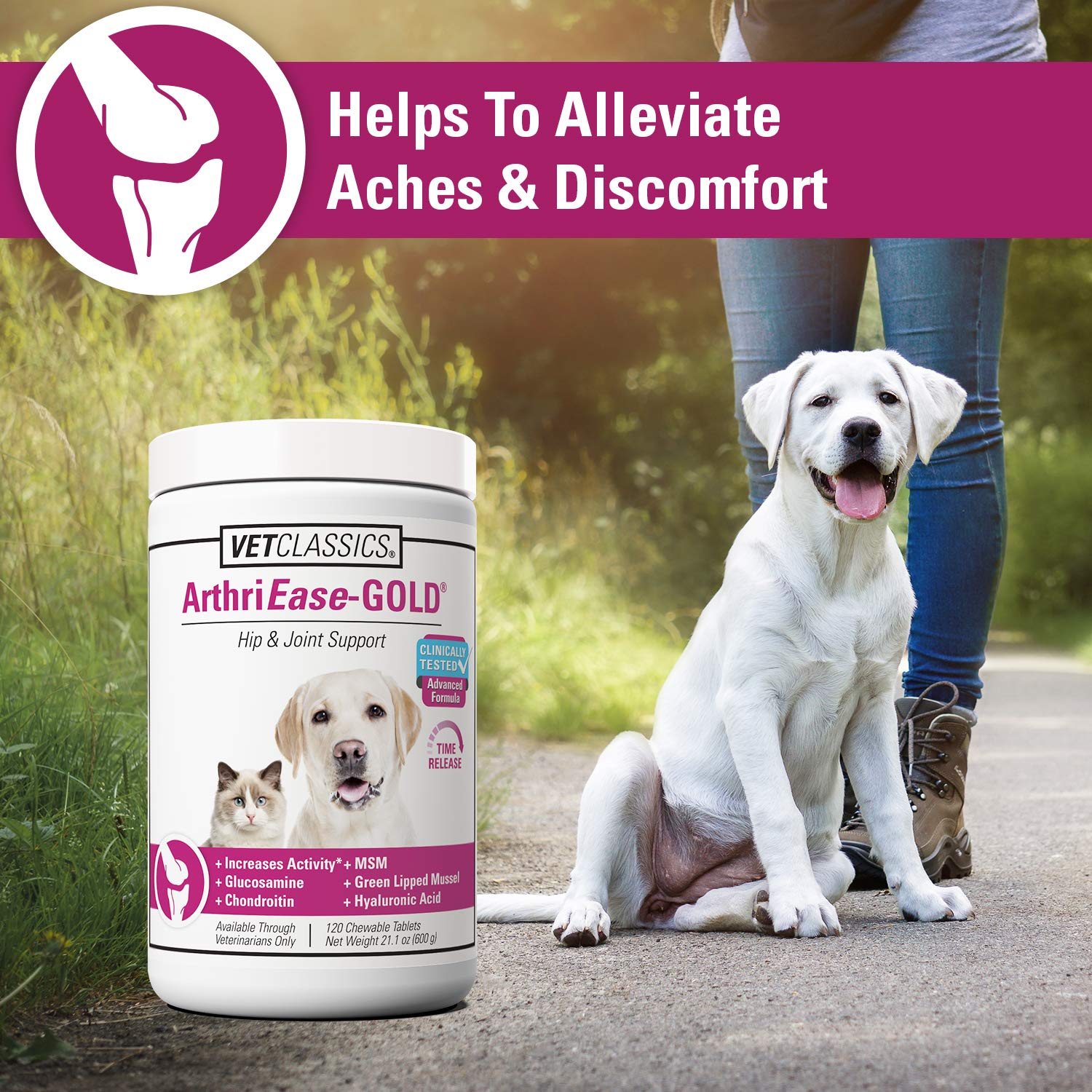 Vet Classics ArthriEase-Gold Hip & Joint Support for Dogs, Cats, Horses - Chewable Tablet Health Supplement - Alleviate Aches, D