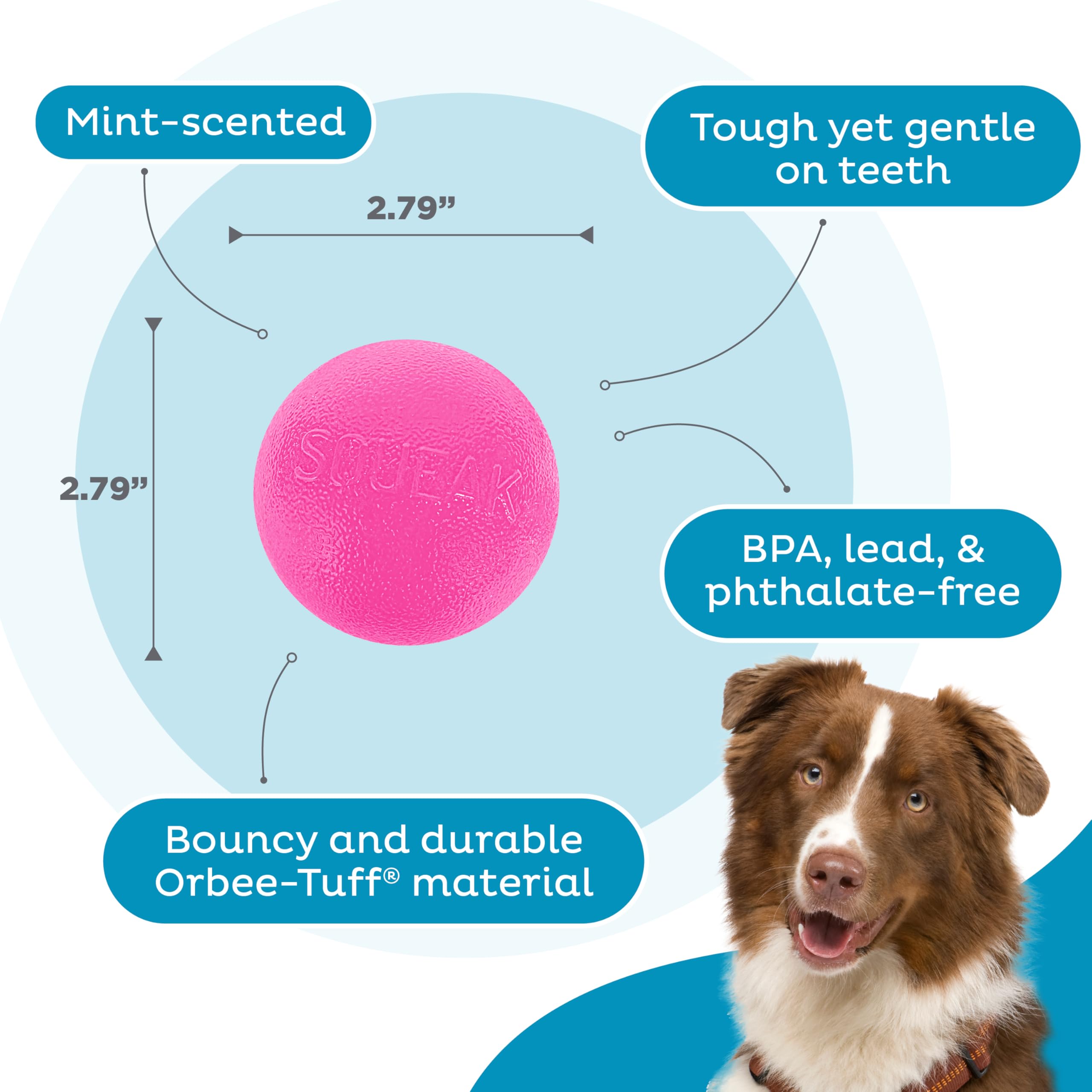 Outward Hound By Planet Dog Squeak Ball Bouncy Fetch Dog Toy, Pink