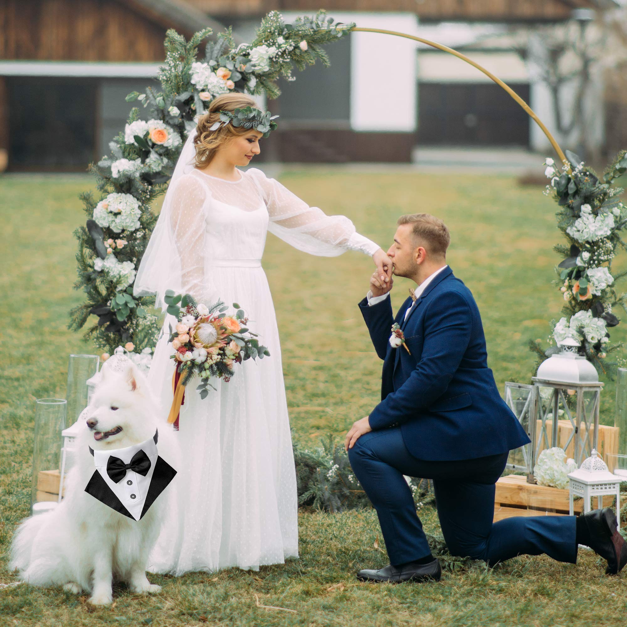 Adoggygo Formal Dog Tuxedo Wedding Dog Bandana Collar Dog Collar With Bow Tie Adjustable Dog Bowtie Collar Bandana For Small Medium Large Dog Pet (Medium, Black)