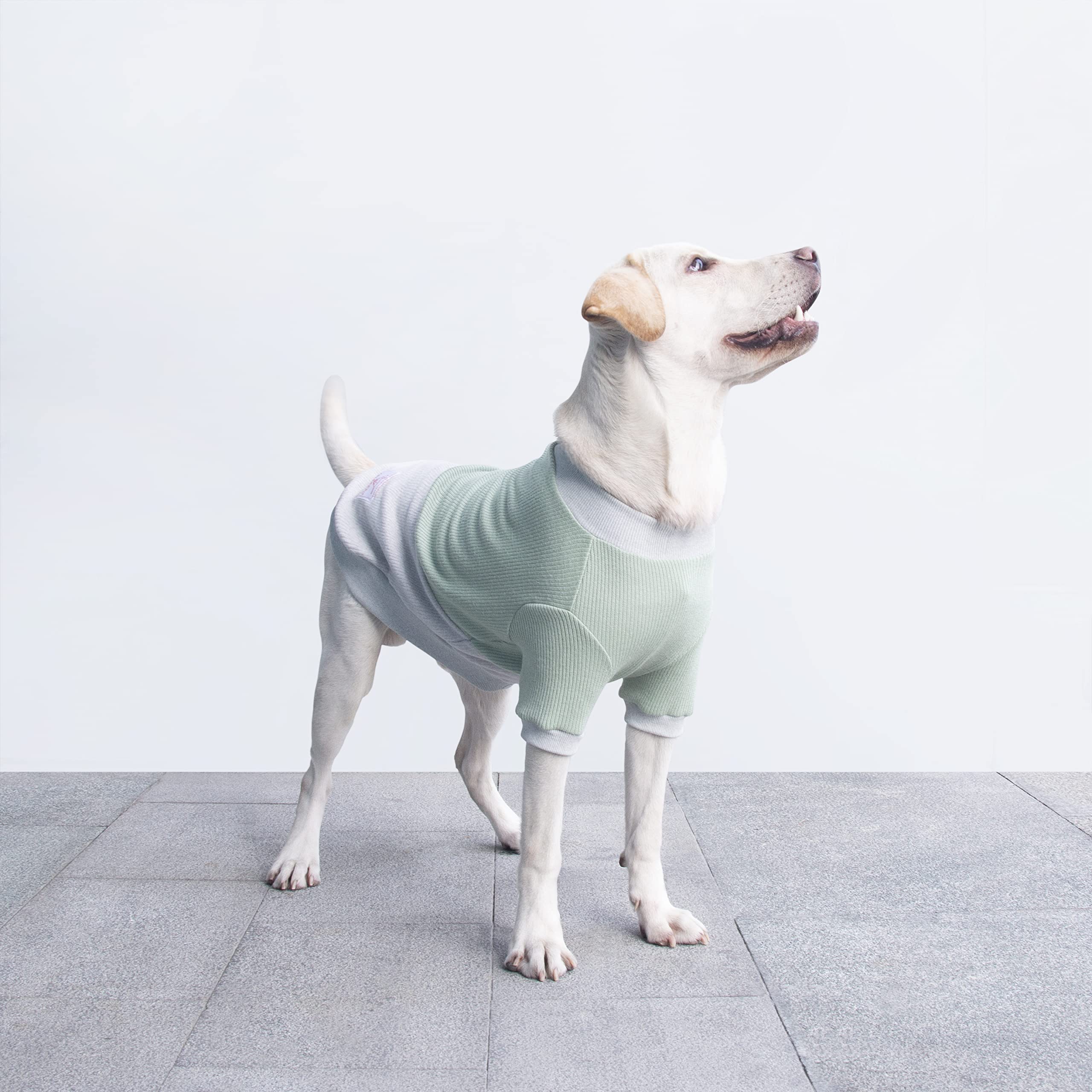 Arunners Extra Large Dog Sweaters Warm Clothes Pullover Sweatshirts For Labrador Rottweiler Great Dane, Green Grey, 4X-Large