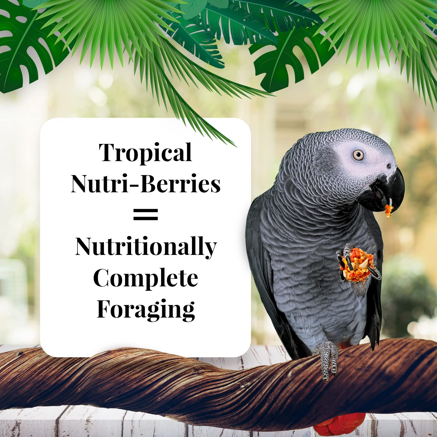 LAFEBERS Tropical Fruit Nutri-Berries Pet Bird Food, Made with Non-GMO and Human-Grade Ingredients, for Parrots, 14 lb