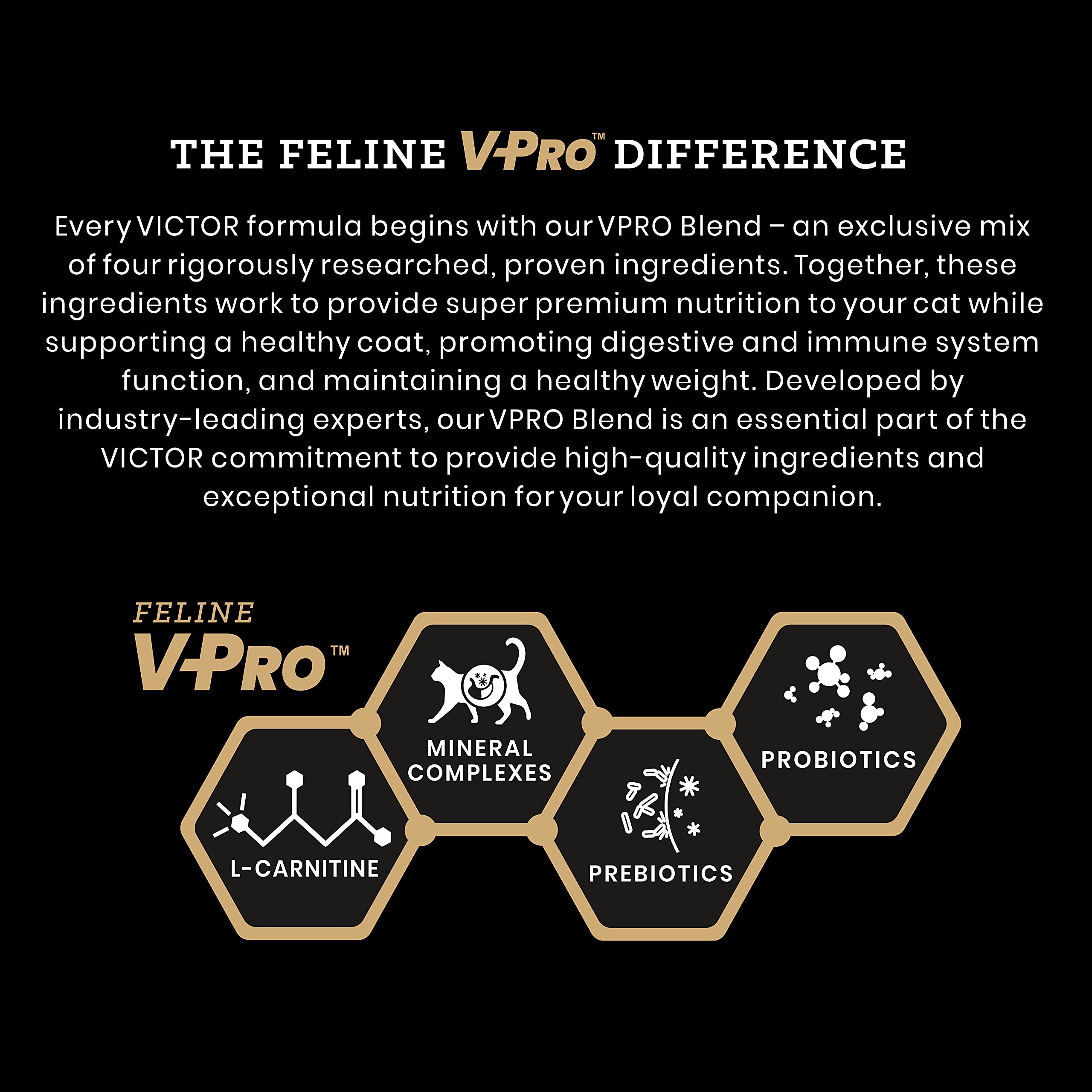 VICTOR Super Premium Cat Food - Grain Free Healthy Skin & Coat - Dry Kibble for Indoor Cats - High Protein - 38% Protein, 18% Fa