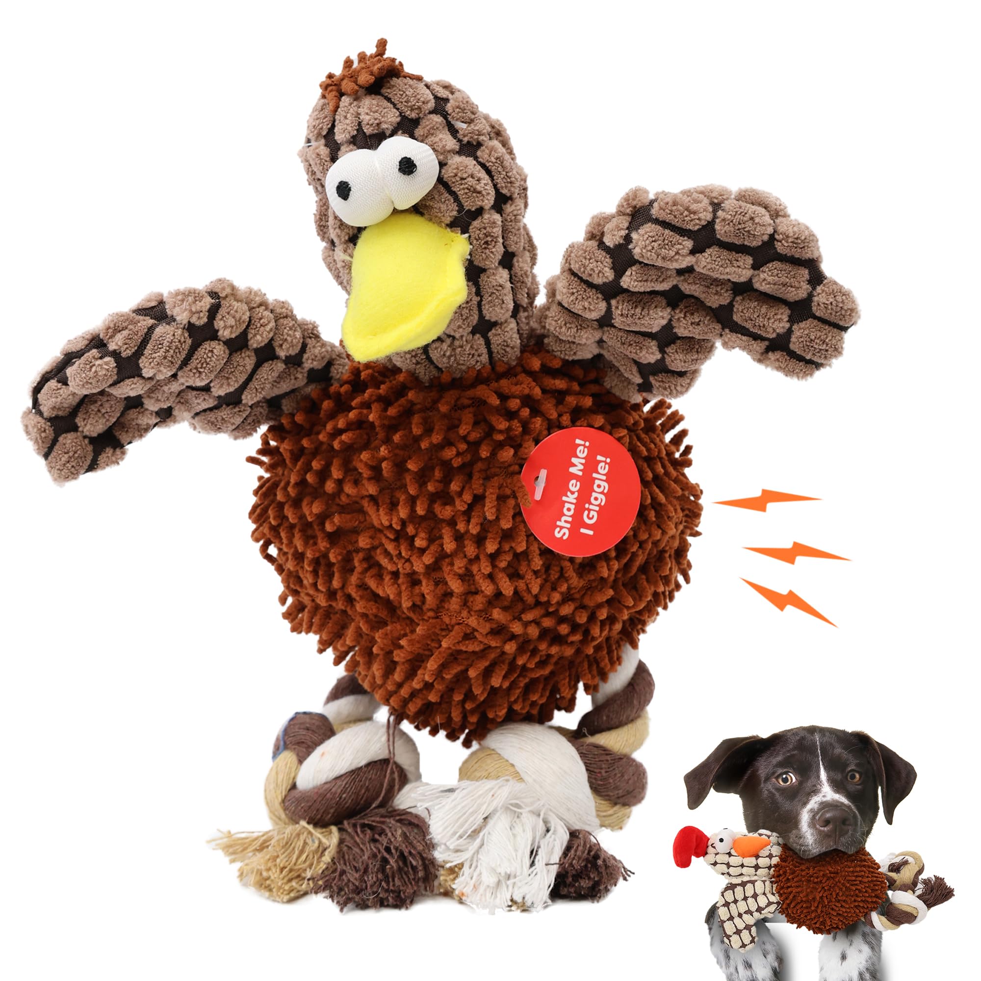 Ethical Pets Gigglers Chicken Dog Toy, 12-Inch, Assorted