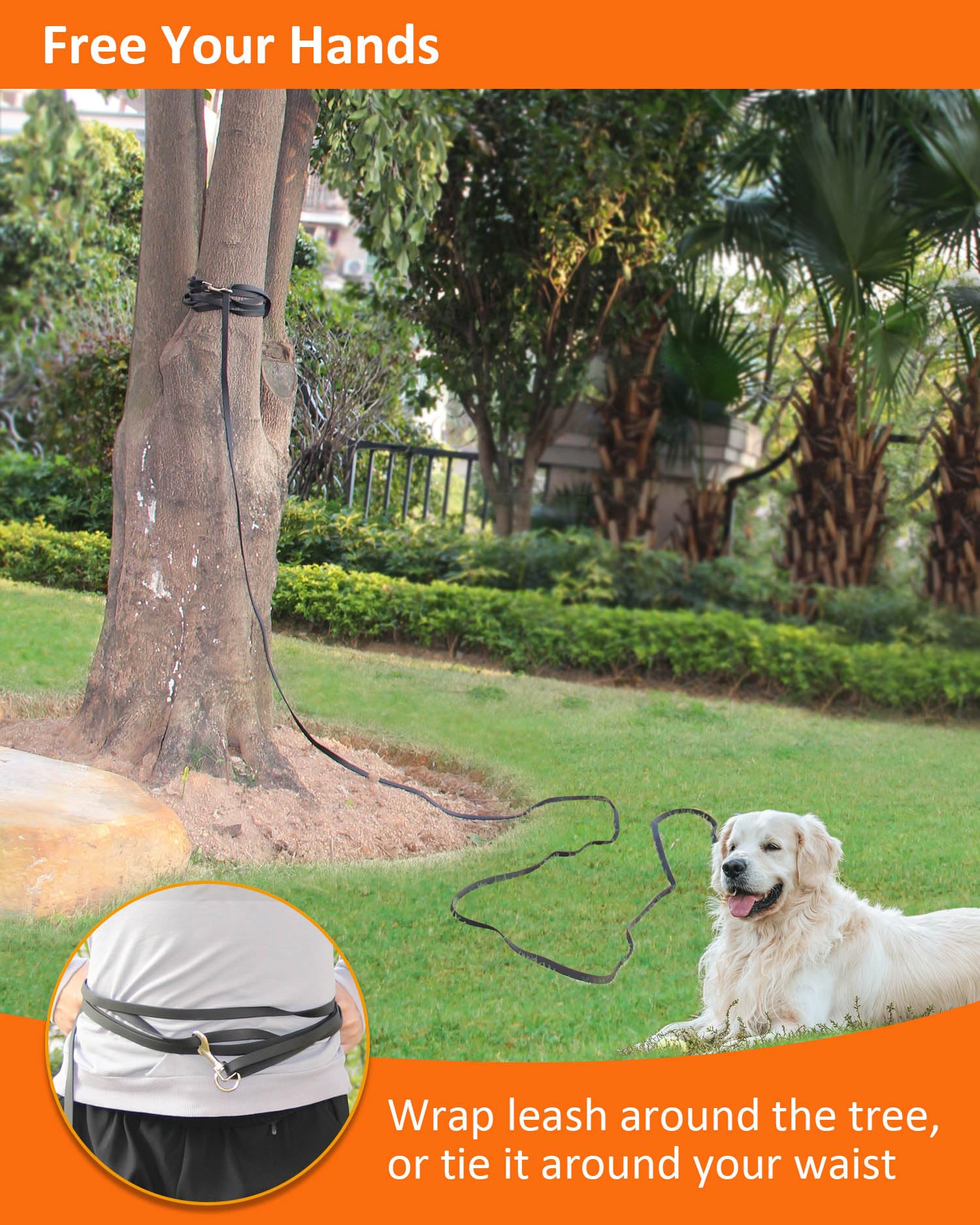 Waterproof Long Leash For Dogs Training 16Ft/30Ft/50Ft, Long Dog Leash Heavy Duty,Dog Lead For Large Medium Small Dogs Outside W