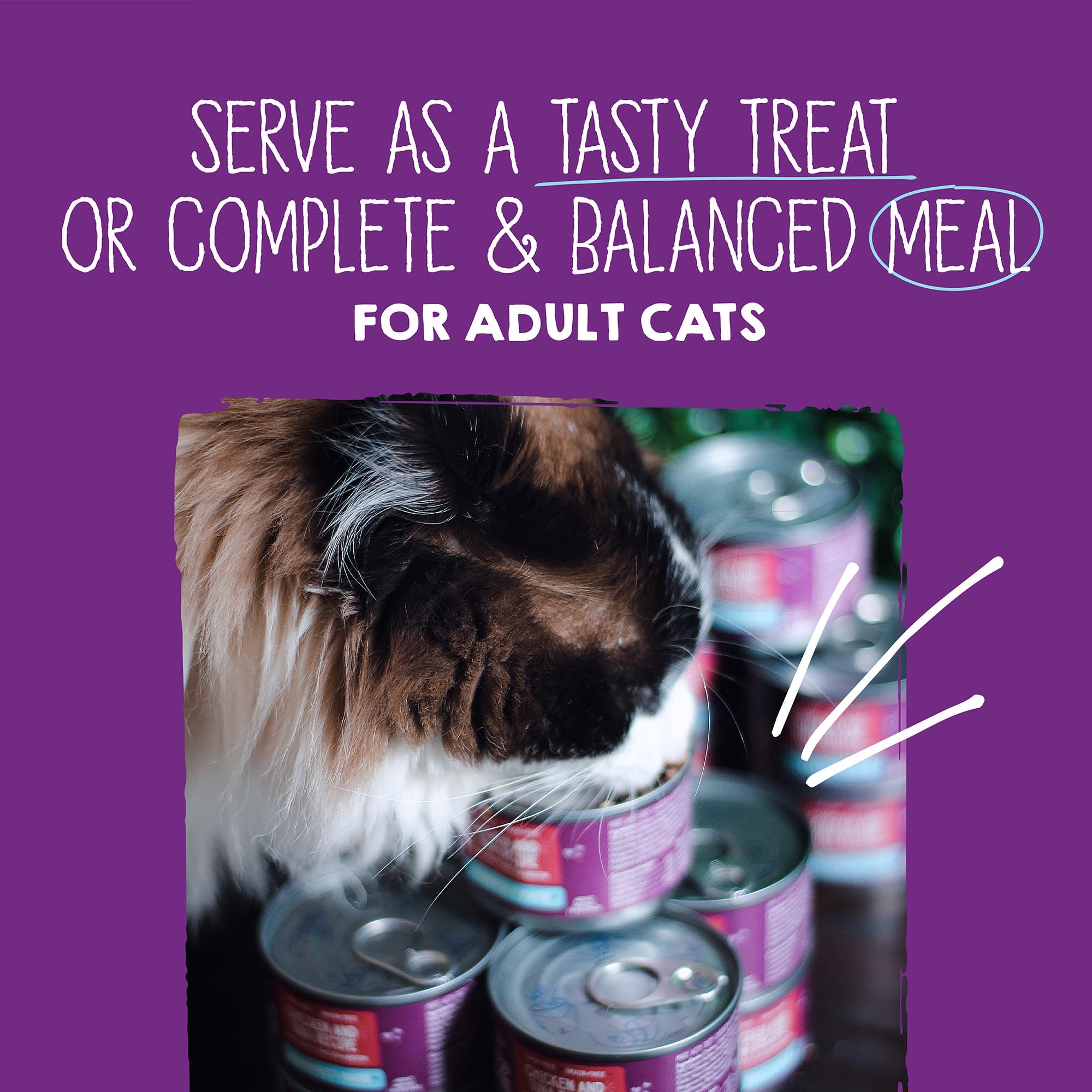 Stella & Chewys Carnivore Cravings Purrfect Pat   - Premium Grain-Free Wet Cat Food - 6 Flavor Variety Pack - High Protein with