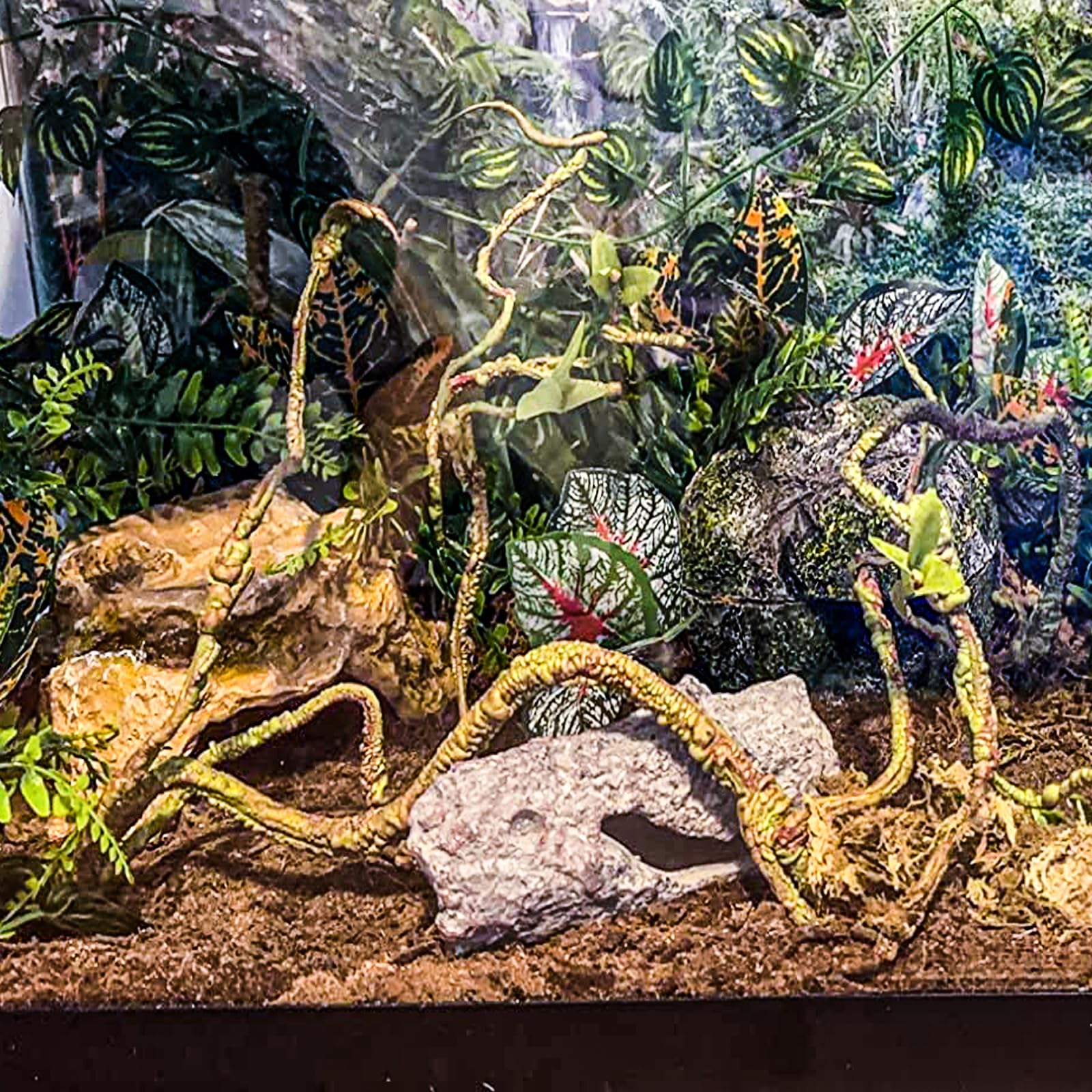 Mechpia Repitle Plants for Terrarium, Terrarium Hanging Plants Artificial Leaves Reptile Hide Flexible Jungle Vines Tank Accesso