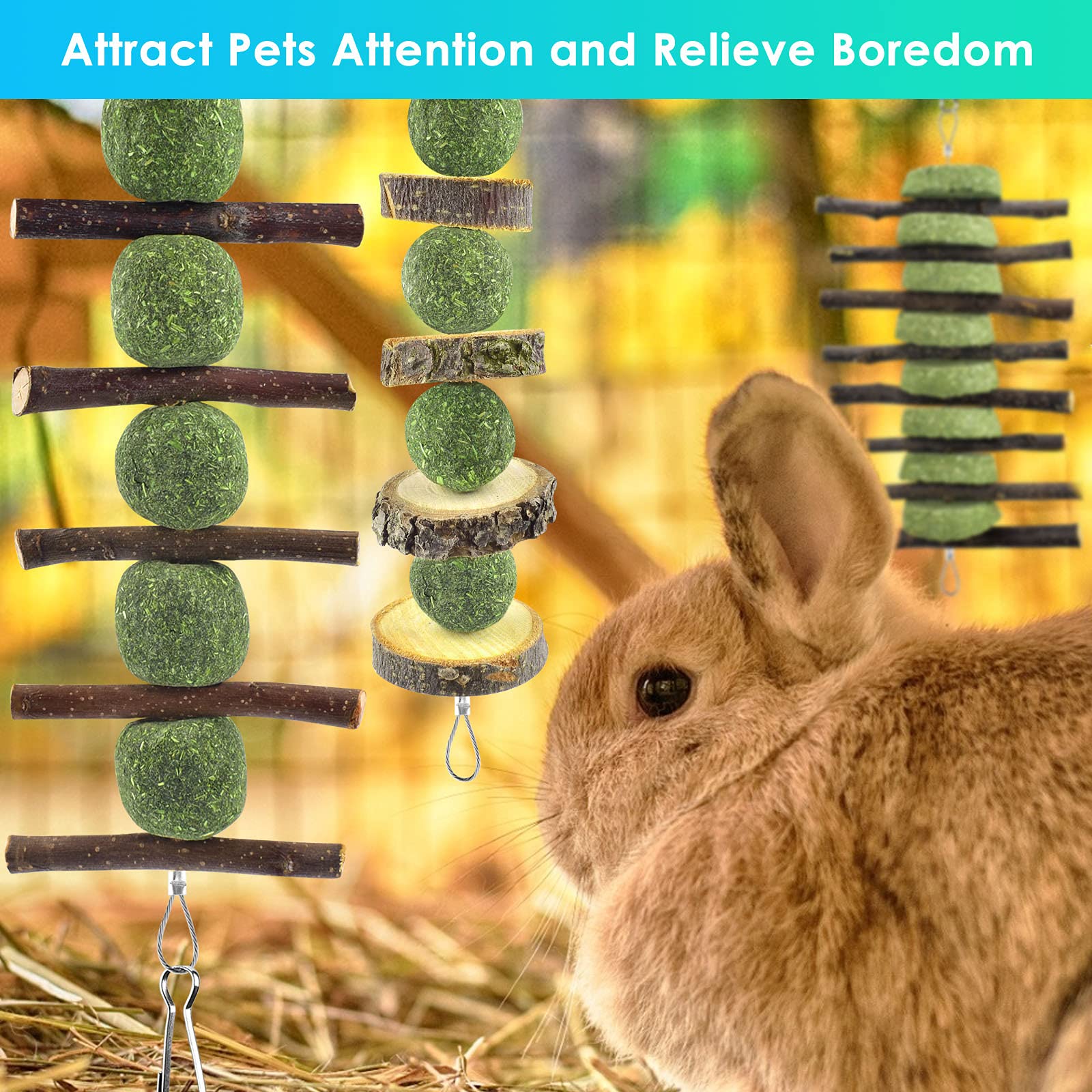 ERKOON Bunny Chew Toys, Rabbit Chew Toys for Teeth Grinding, Improve Dental Health, 100% Natural Apple Wood Timothy Grass Cake T