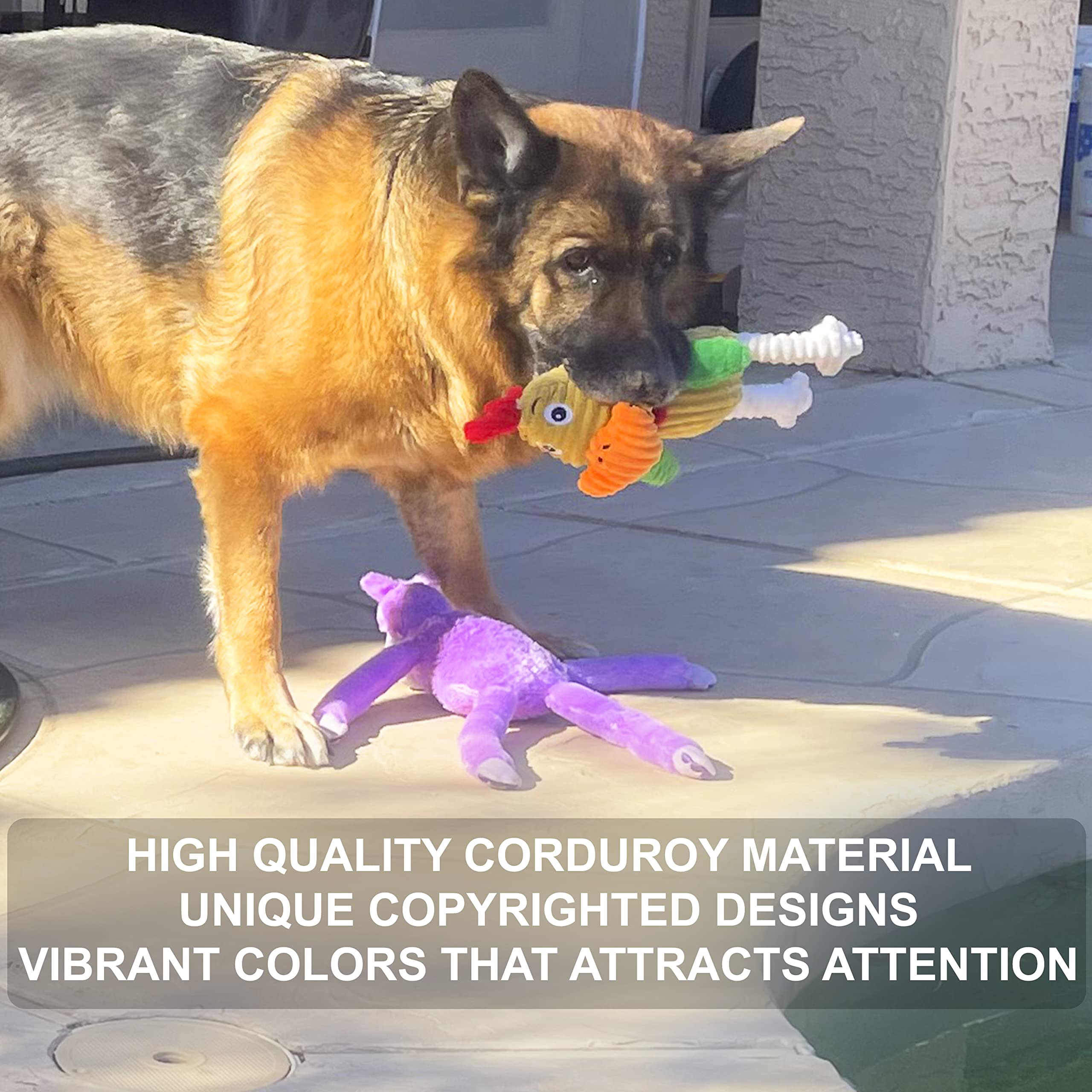 Jalousie 5 Pack Tough Plush Animal Dog Toys Assortment Value Bundle Dog Squeaky Toys Assortment Puppy Pet Mutt Dog Toy Dog Squea
