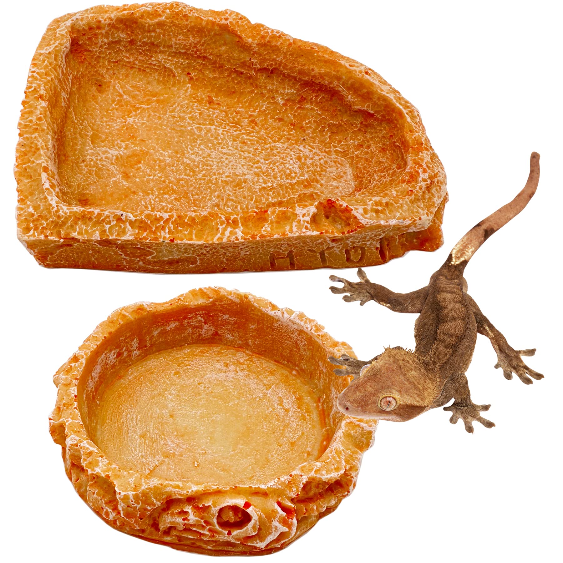 Reptile Water Dish Food Bowl Bearded Dragon Bowls, 2 Pack Reptile Food Bowl for Hermit Crab Bearded Dragon Lizard Gecko Frog Tor