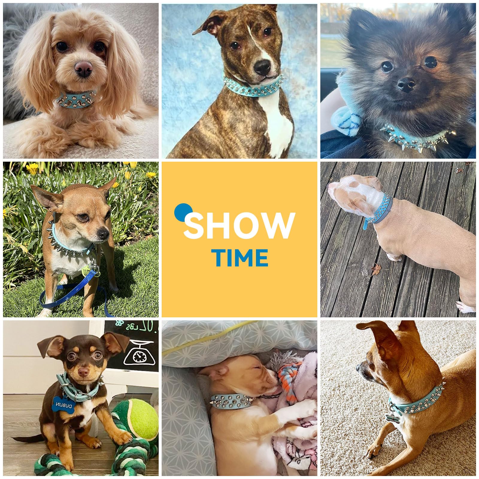 Petcare Spiked Dog Collar Blue Soft Pu Leather Funny Mushrooms Rivet Spike Studded Puppy Collar Adjustable Outdoor Pet Dog Colla