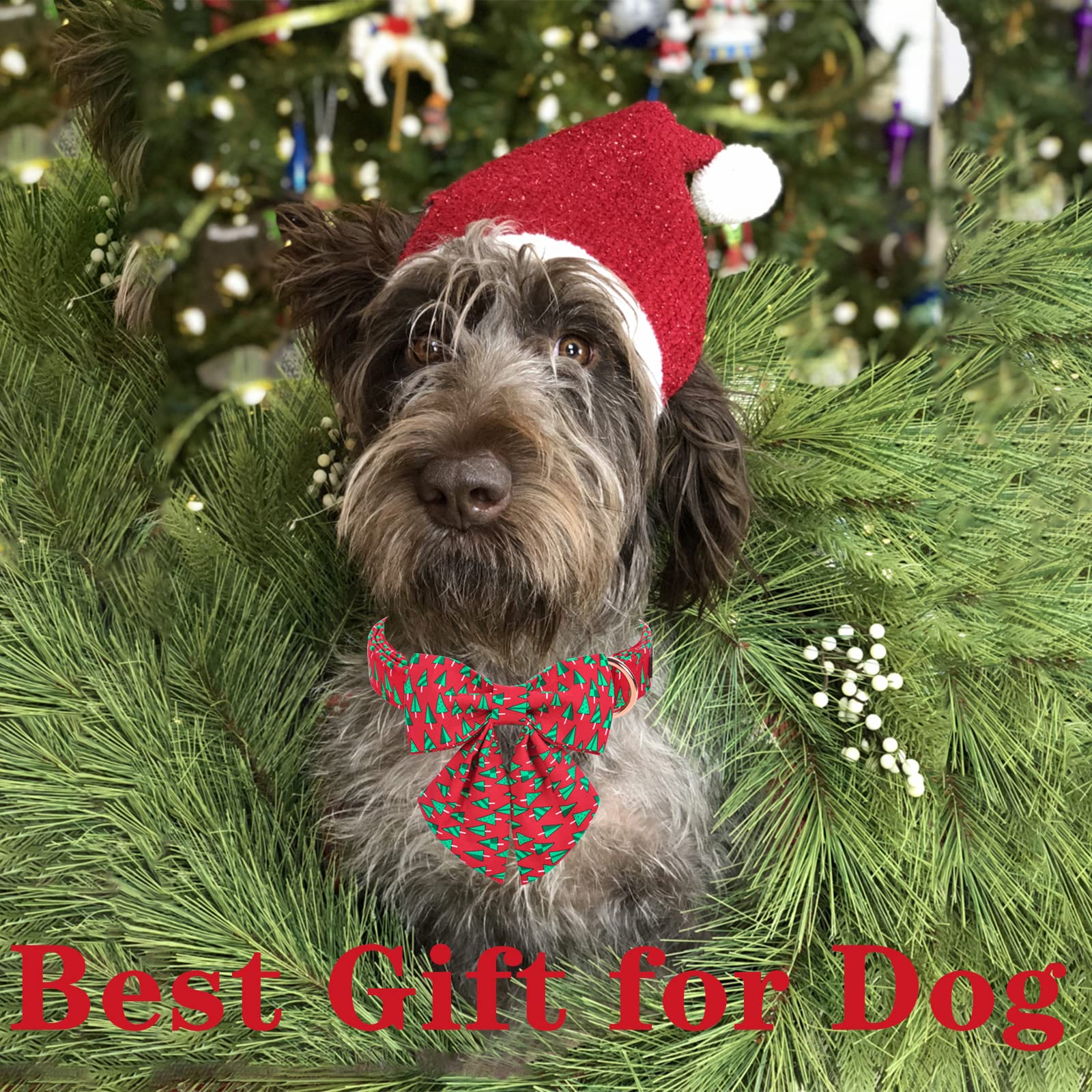 Unique Style Paws Christmas Dog Collar With Tie Best Winter For Small Medium Large Dogs-Christmas Tree-L